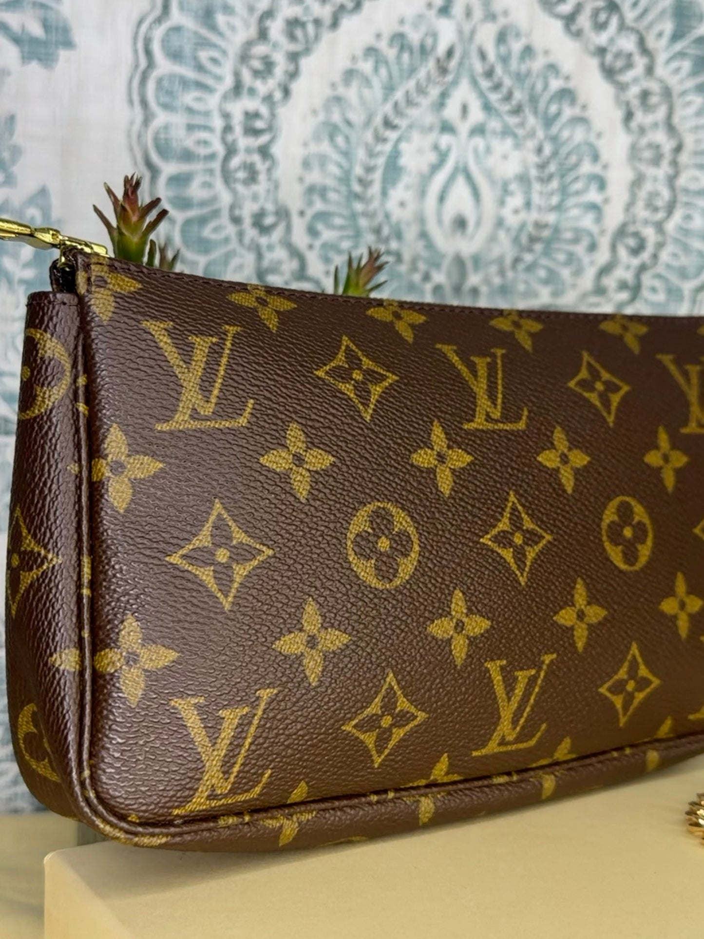 Louis Vuitton Pochette Accessories