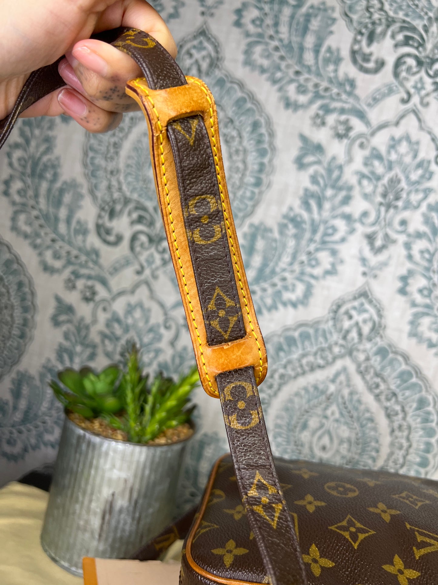 Louis Vuitton Amazon PM