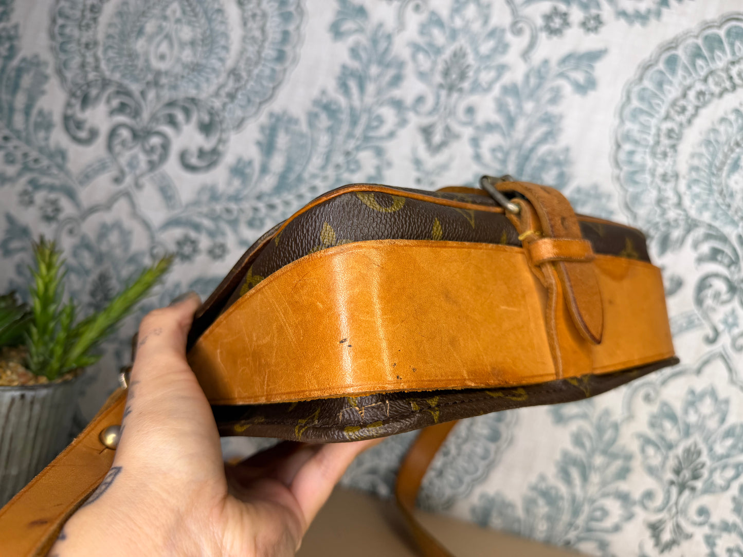 Louis Vuitton Cartouchiere MM