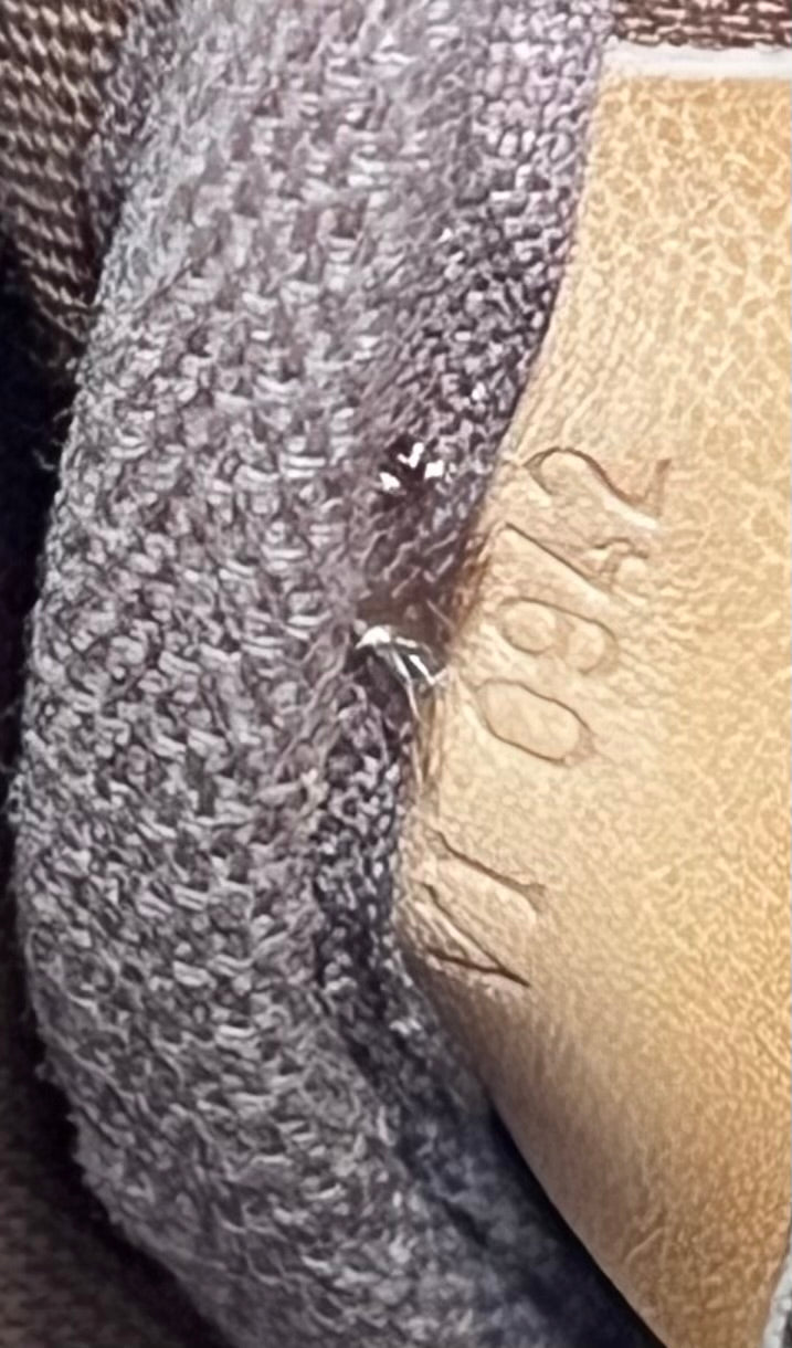 Louis Vuitton Saumur 30