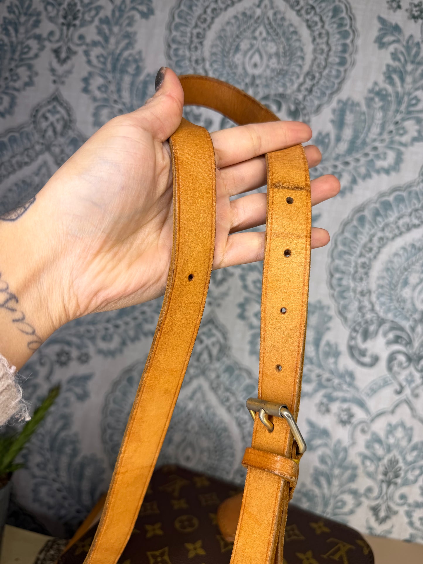 Louis Vuitton Cartouchiere MM