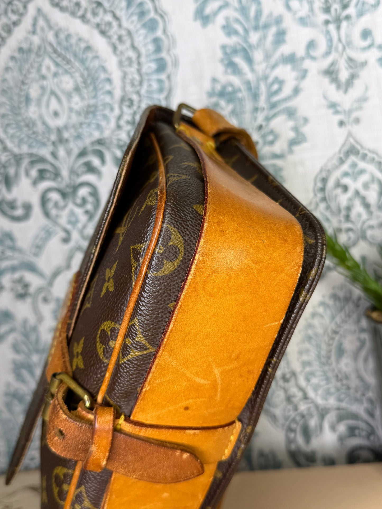Louis Vuitton Cartouchiere MM