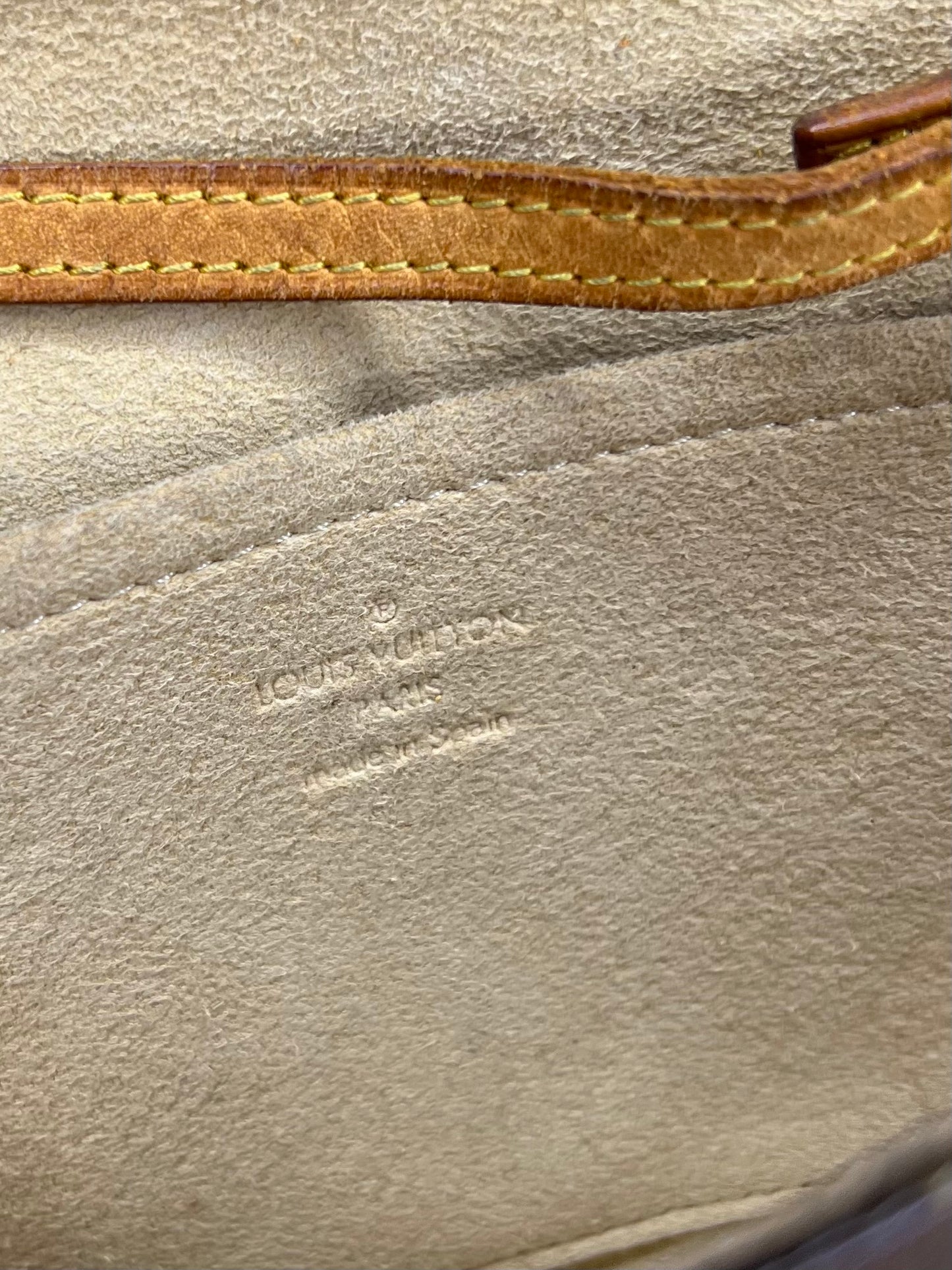 Louis Vuitton Twin Pochette GM