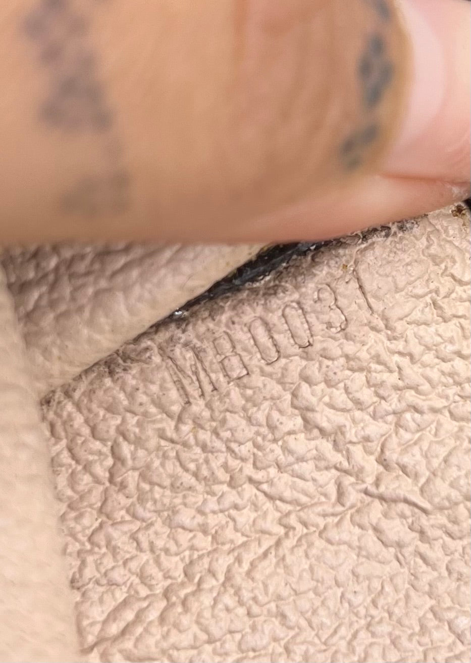 Louis Vuitton Toiletry #2