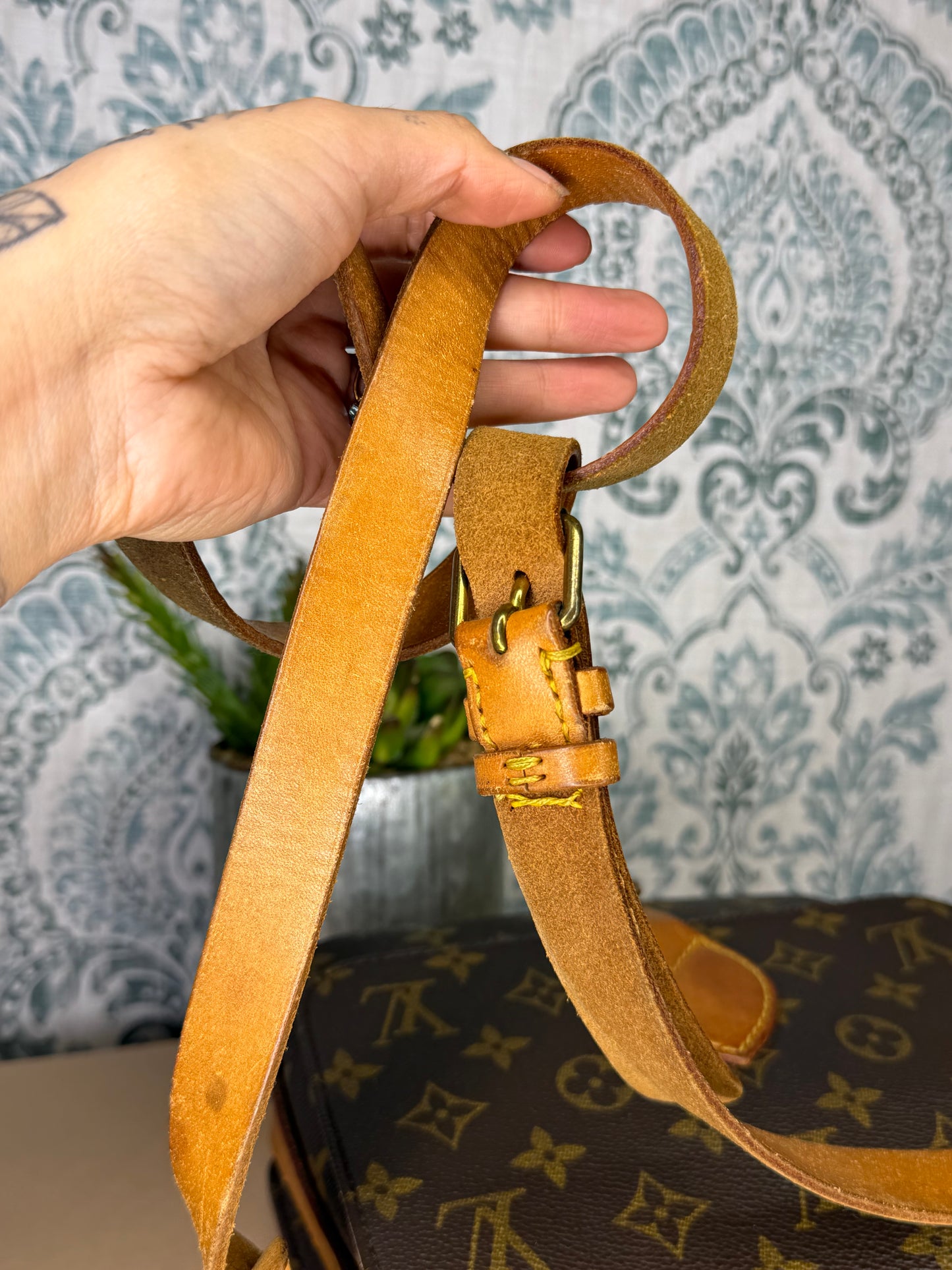 Louis Vuitton Cartouchiere MM