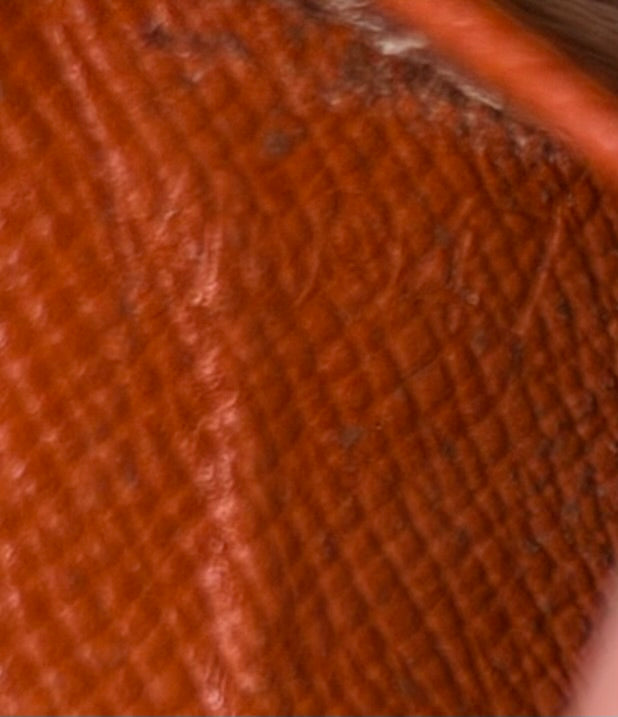 Louis Vuitton Epi Bifold Canelle