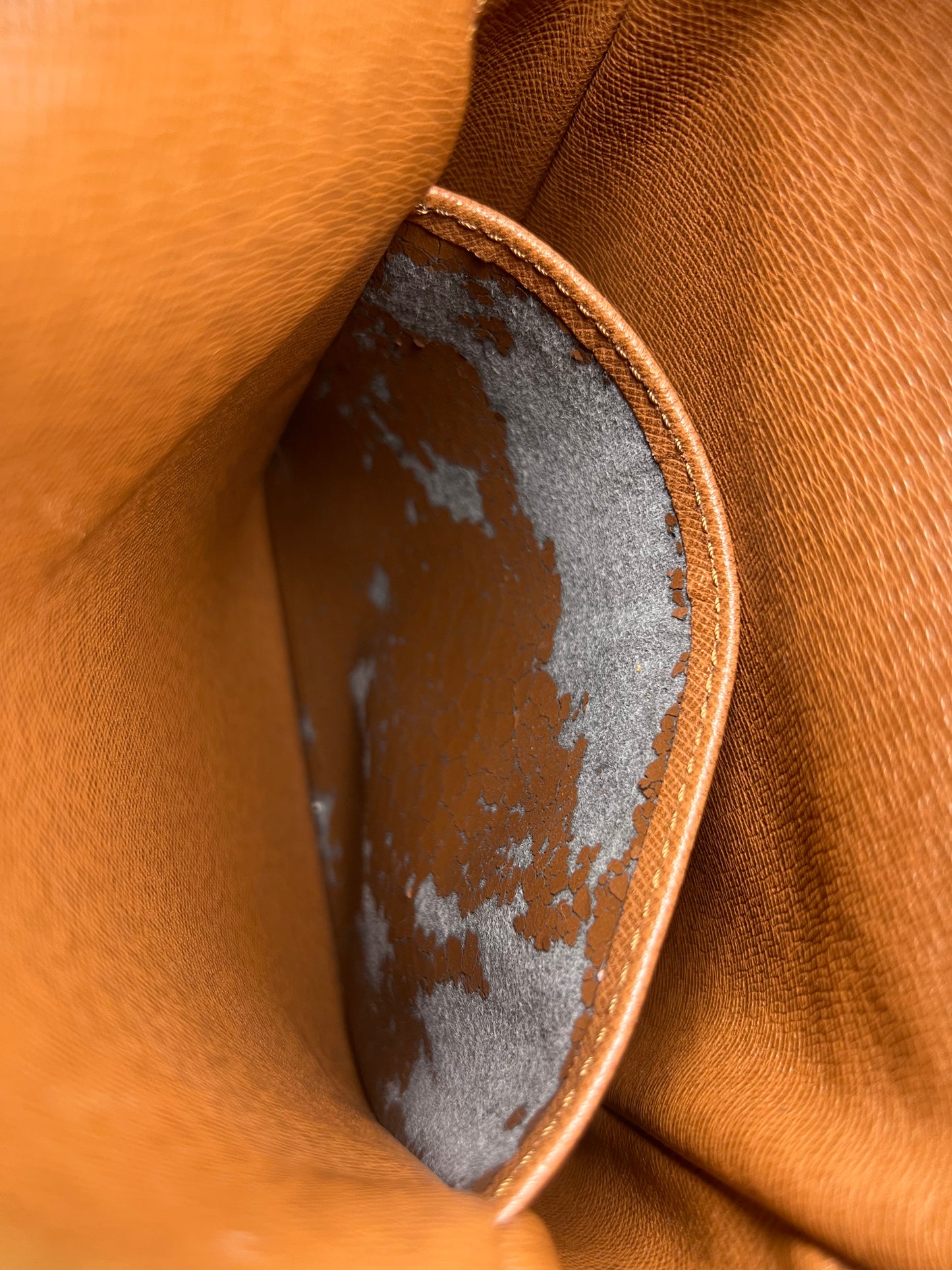 Louis Vuitton Amazon PM