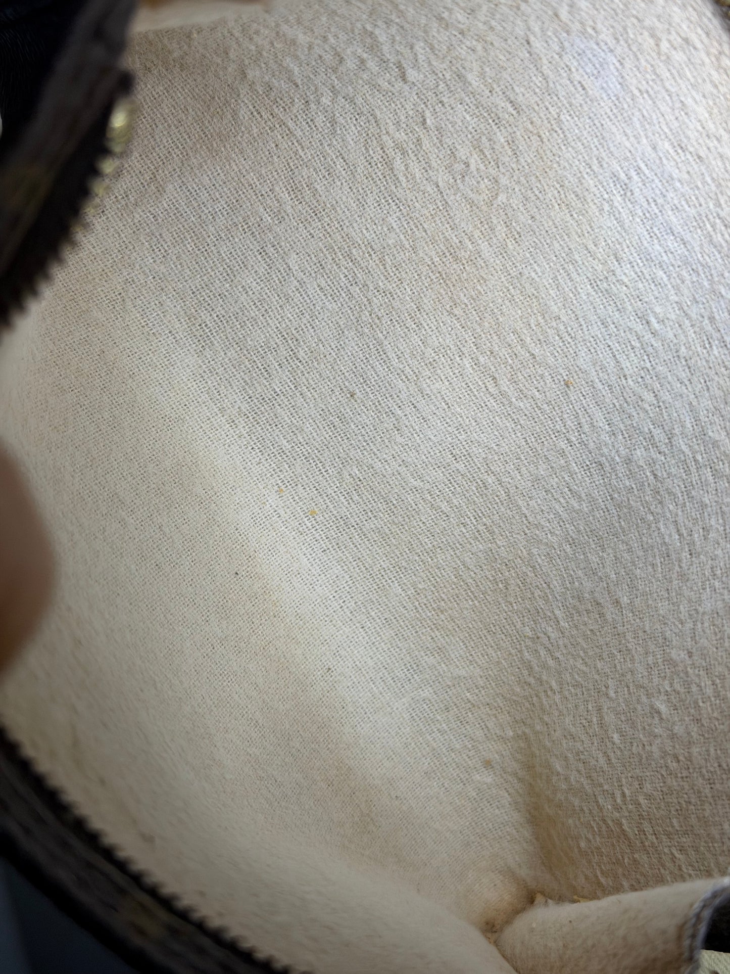 Louis Vuitton Monogram Bucket PM Pochette #3