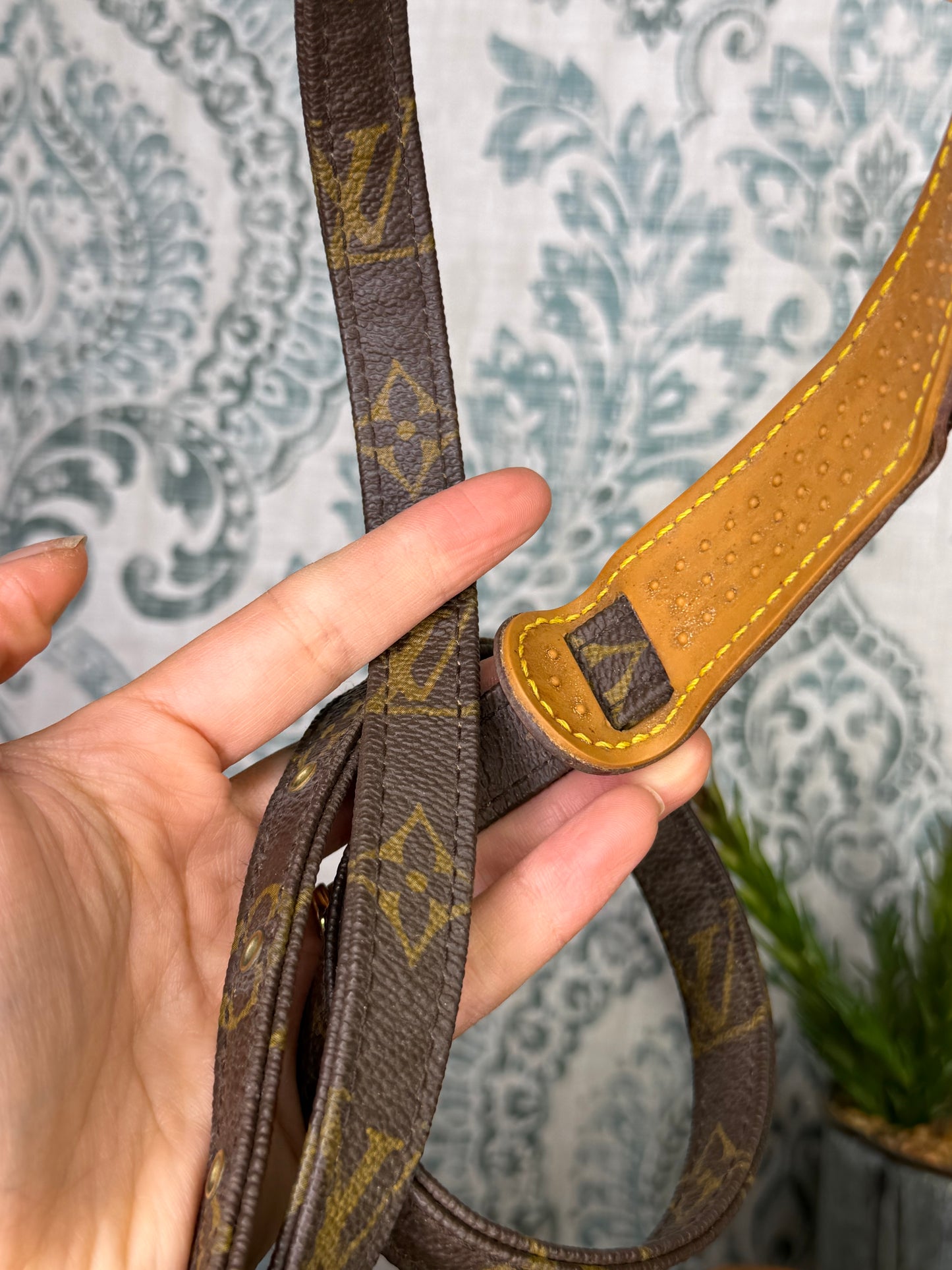 Louis Vuitton Amazon PM #1