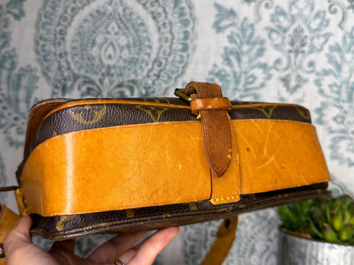 Louis Vuitton Cartouchiere MM