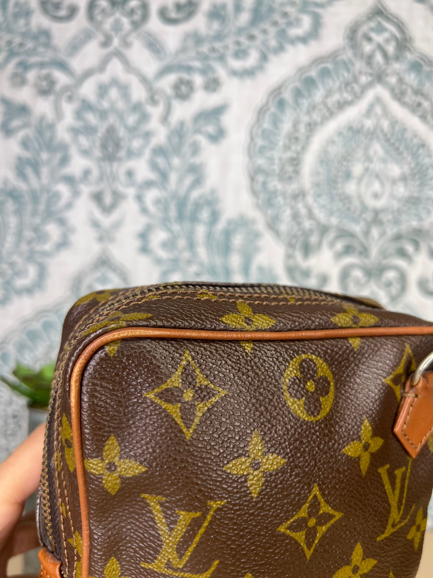 Louis Vuitton Vintage Amazon (project)