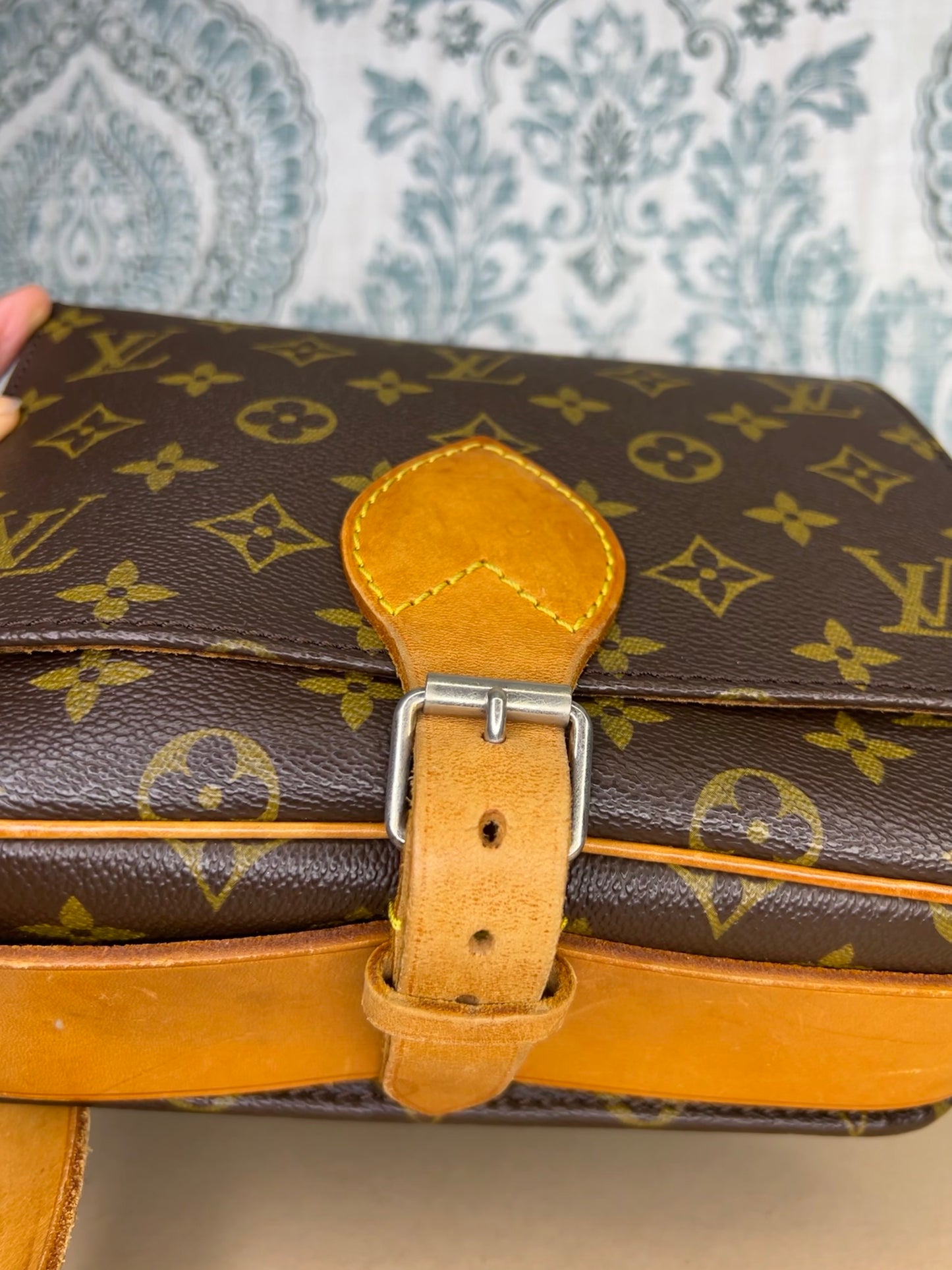 Louis Vuitton Cartouchiere MM