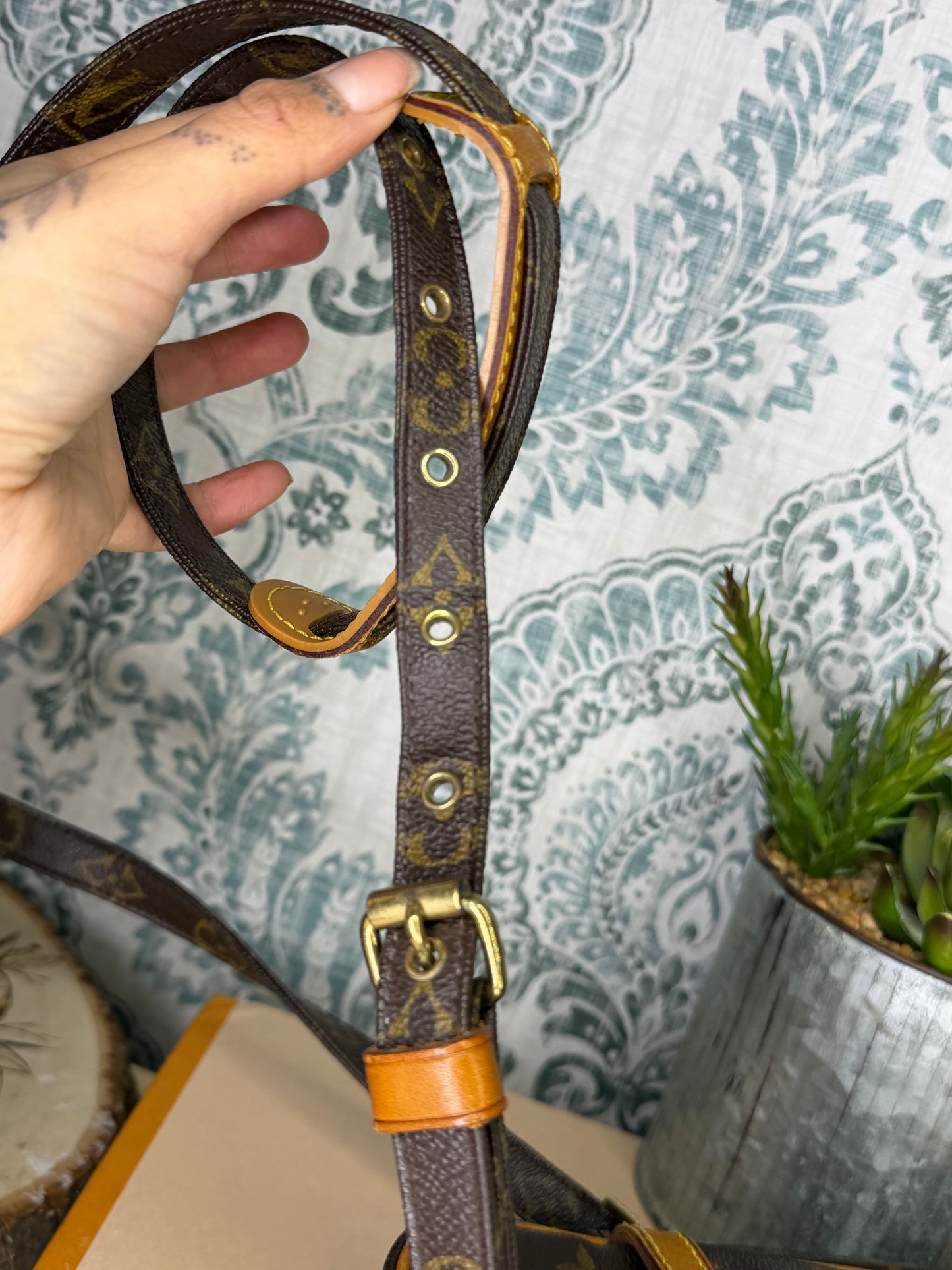 Louis Vuitton Danube PM #2