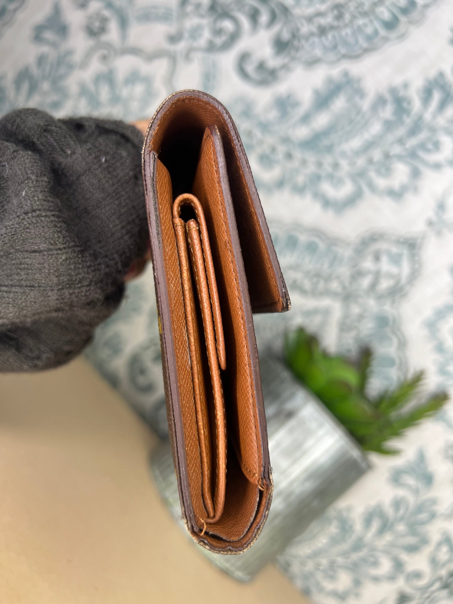 Louis Vuitton Monogram Passport Trifold Wallet #6