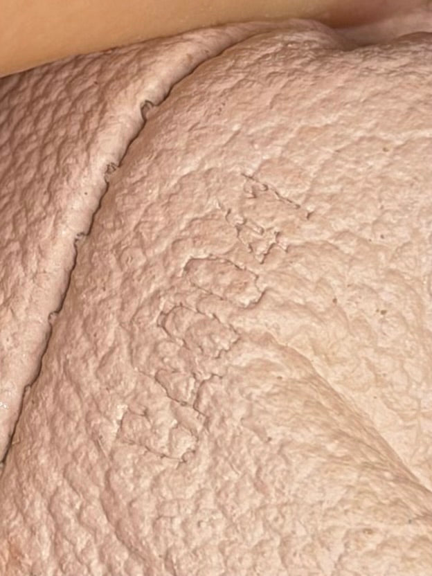 Louis Vuitton Cosmetic PM