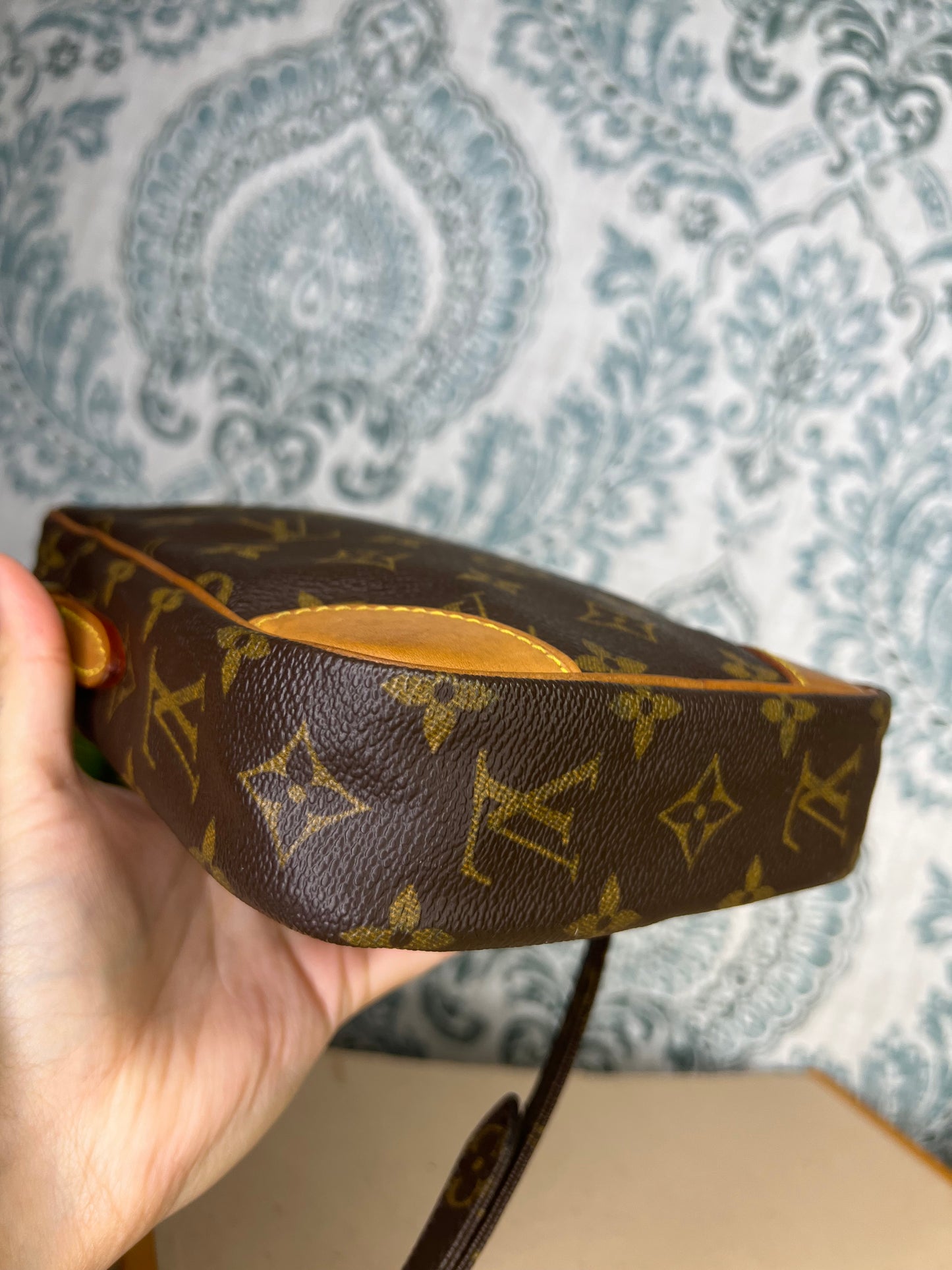 Louis Vuitton Danube PM #1