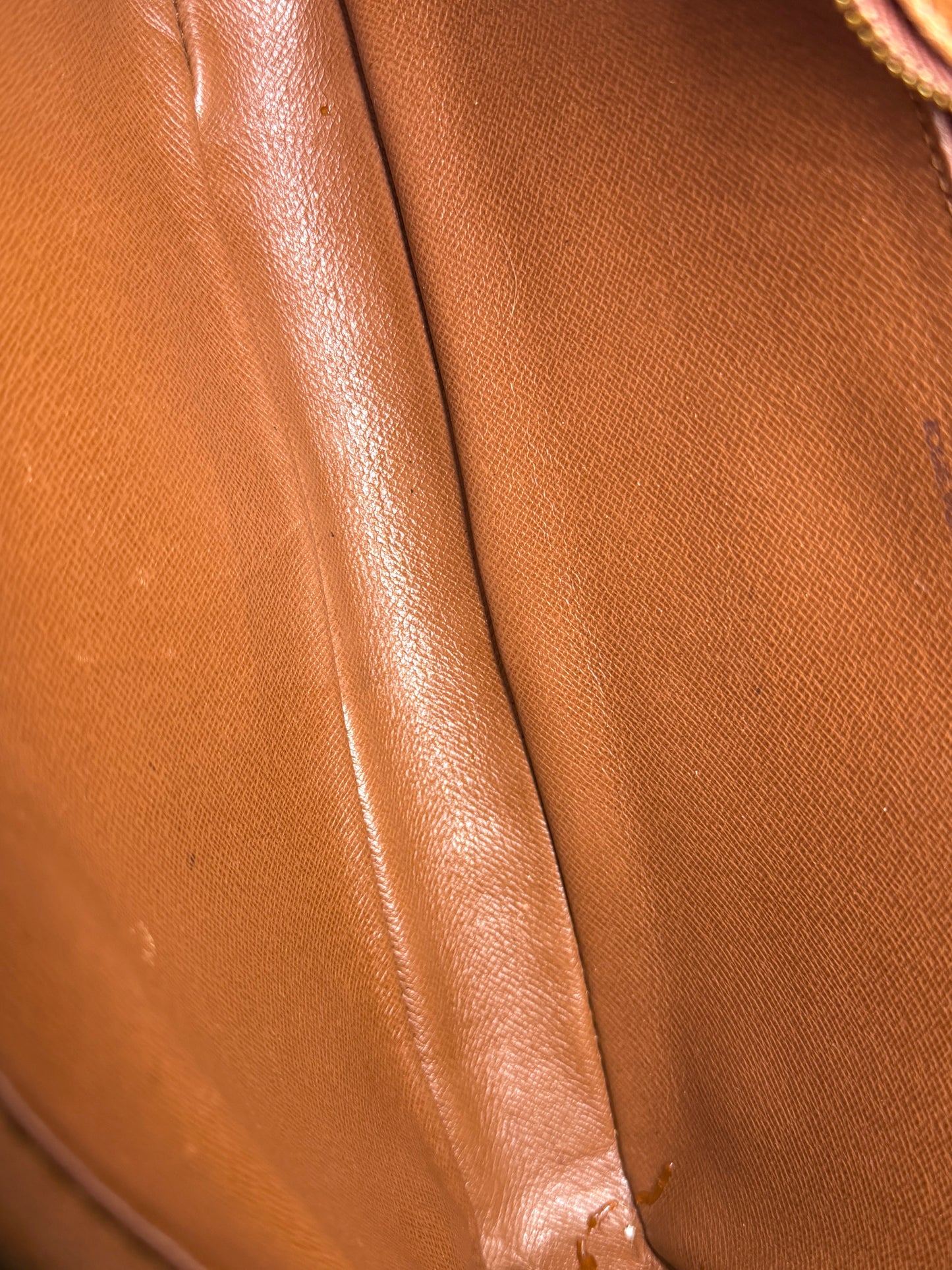 Louis Vuitton Marly Dragonne GM