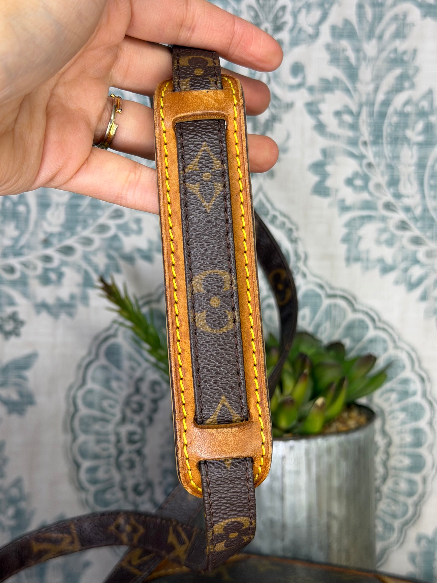 Louis Vuitton Danube PM #1