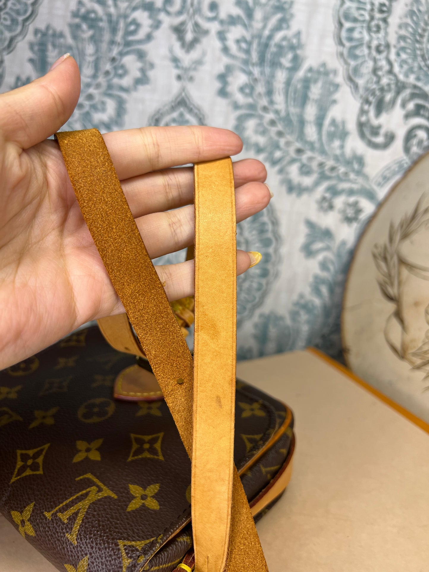 Louis Vuitton Cartouchiere PM