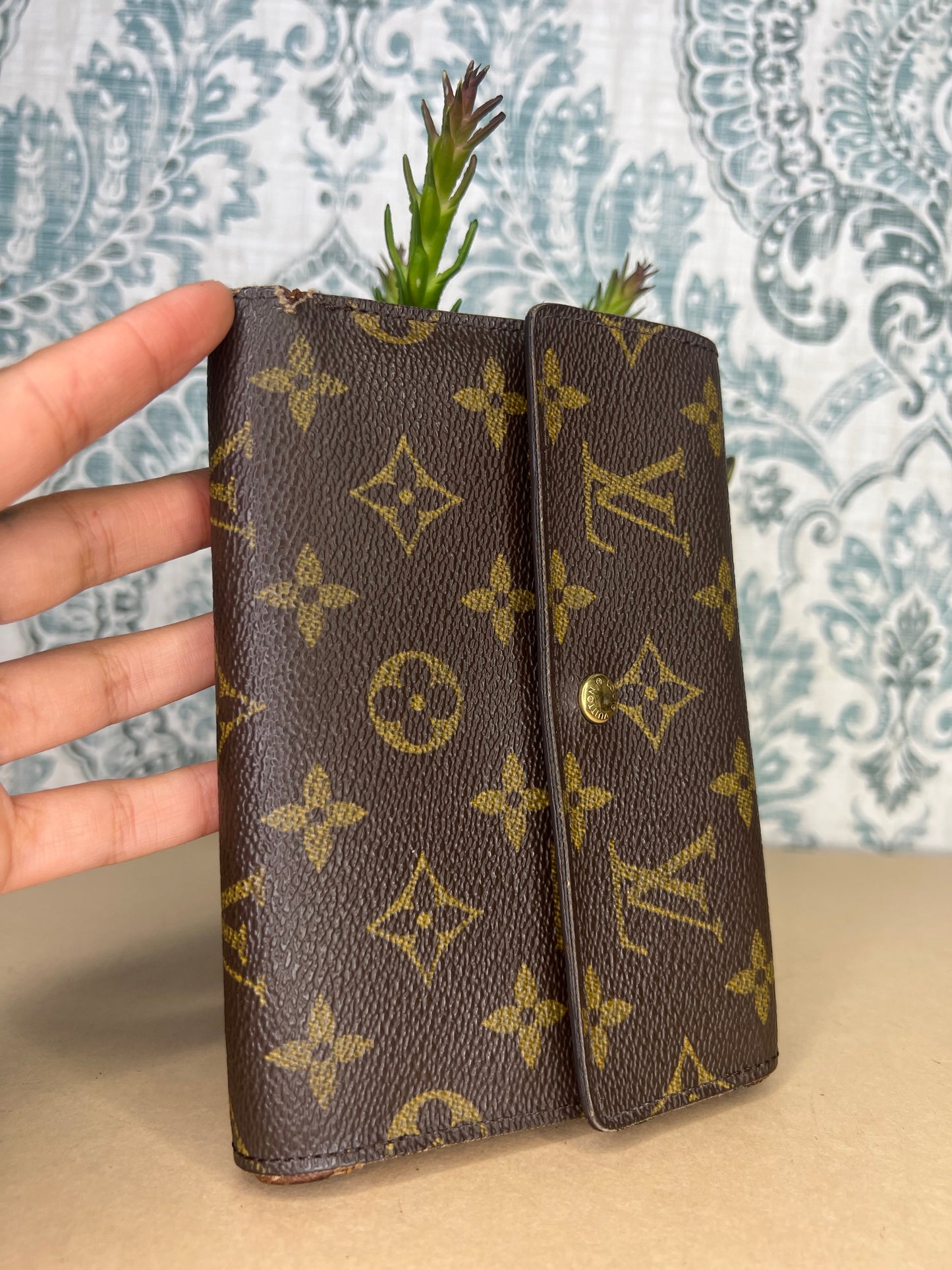 Louis Vuitton Monogram Passport Trifold Wallet #3