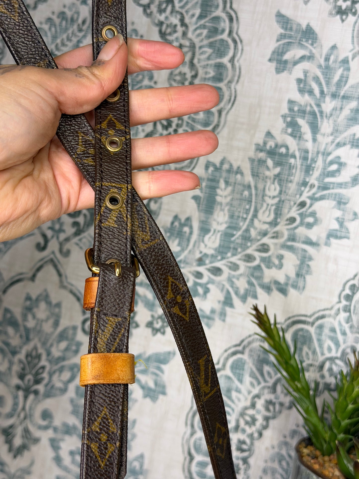 Louis Vuitton Amazon PM #2