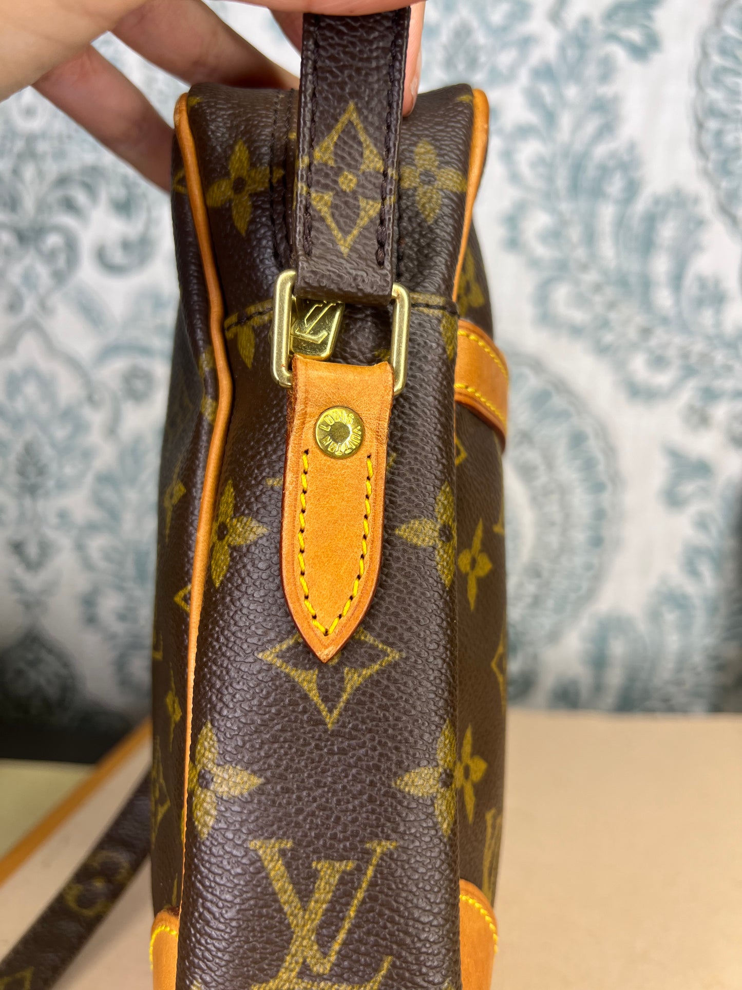 Louis Vuitton Danube PM #2