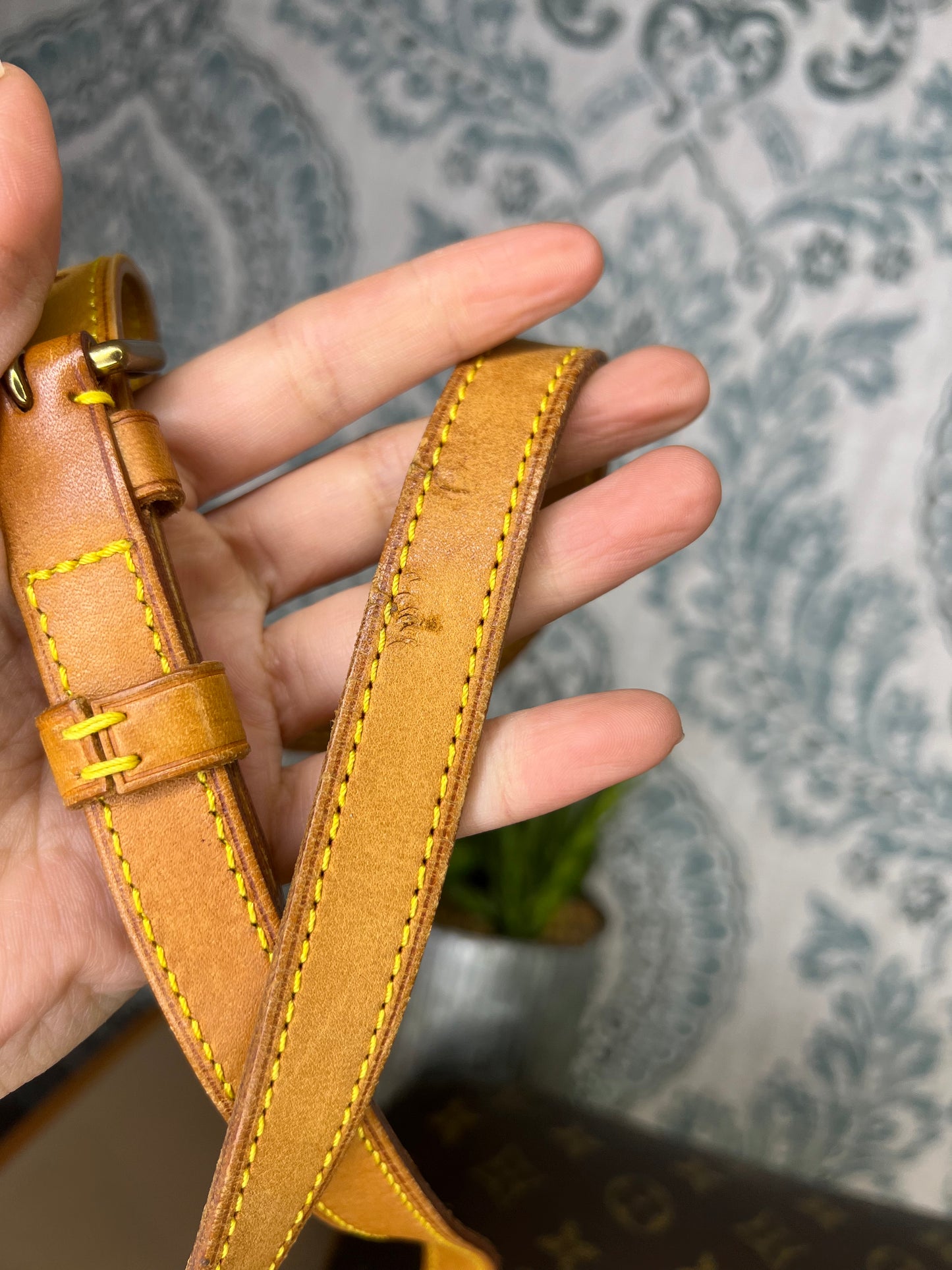 Louis Vuitton Musette Tango - Long Strap