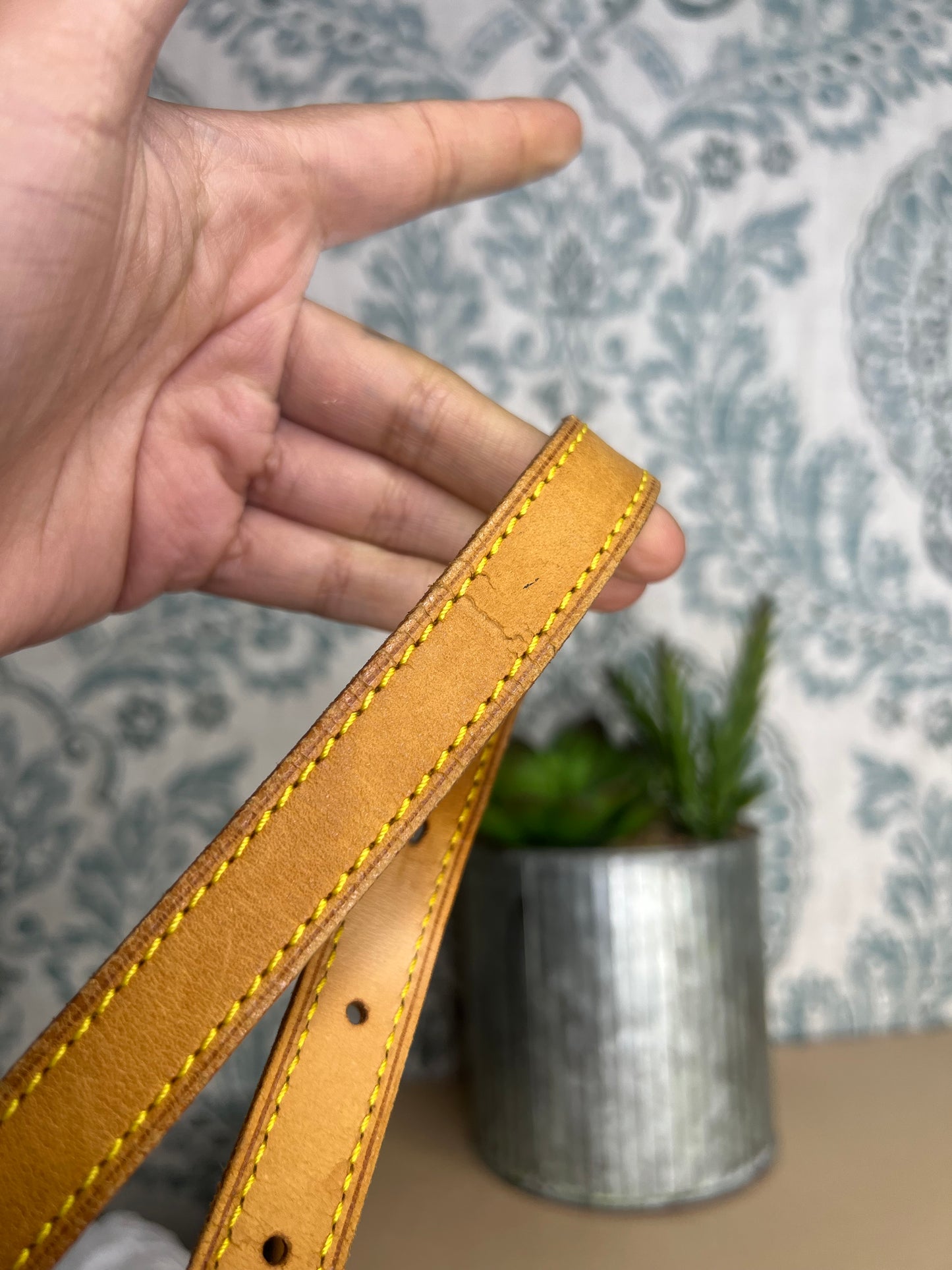 Louis Vuitton Musette Tango - Long Strap