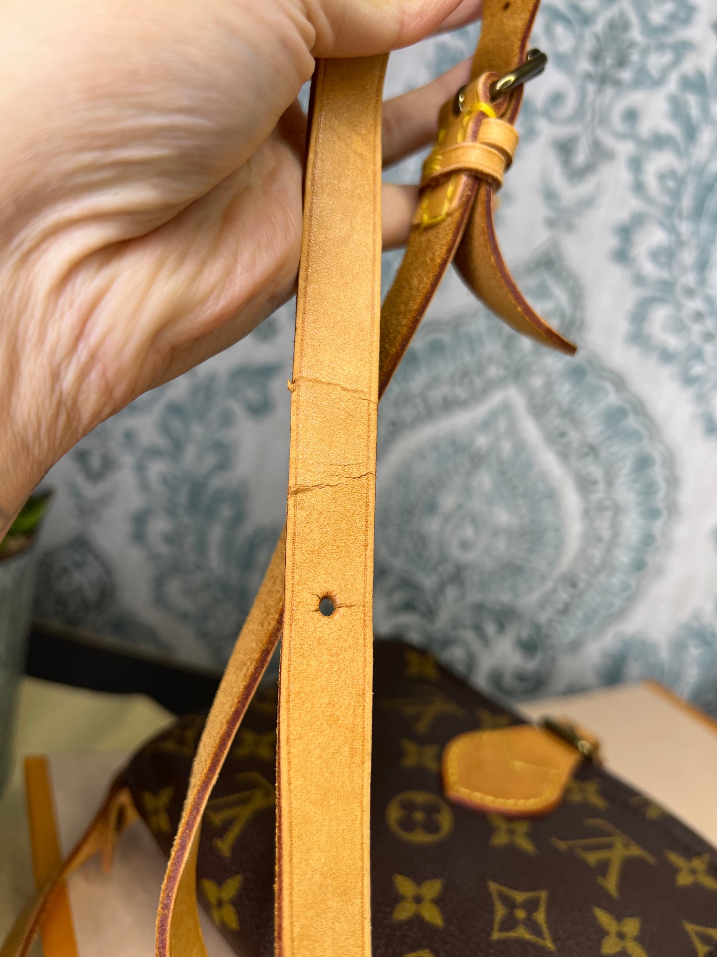 Louis Vuitton Cartouchiere PM