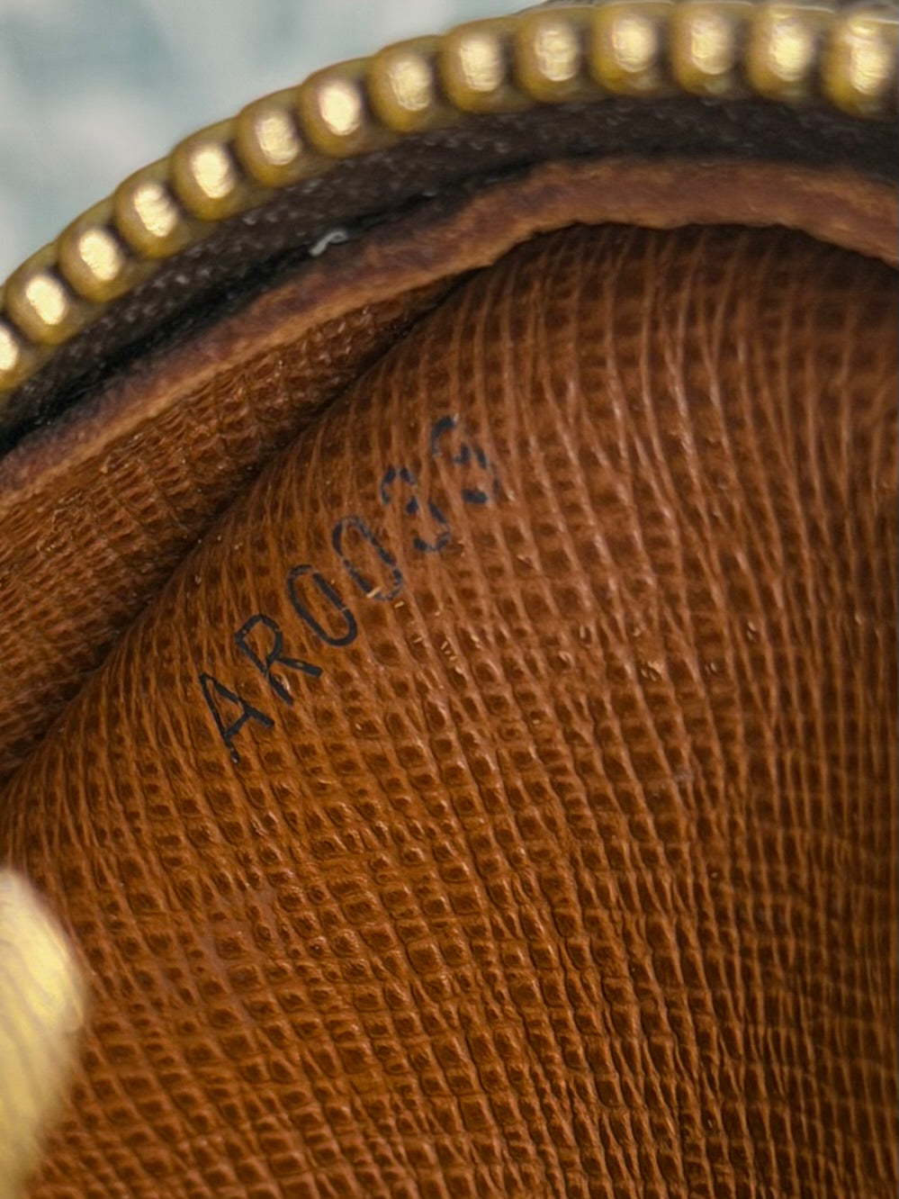 Louis Vuitton Amazon PM #1