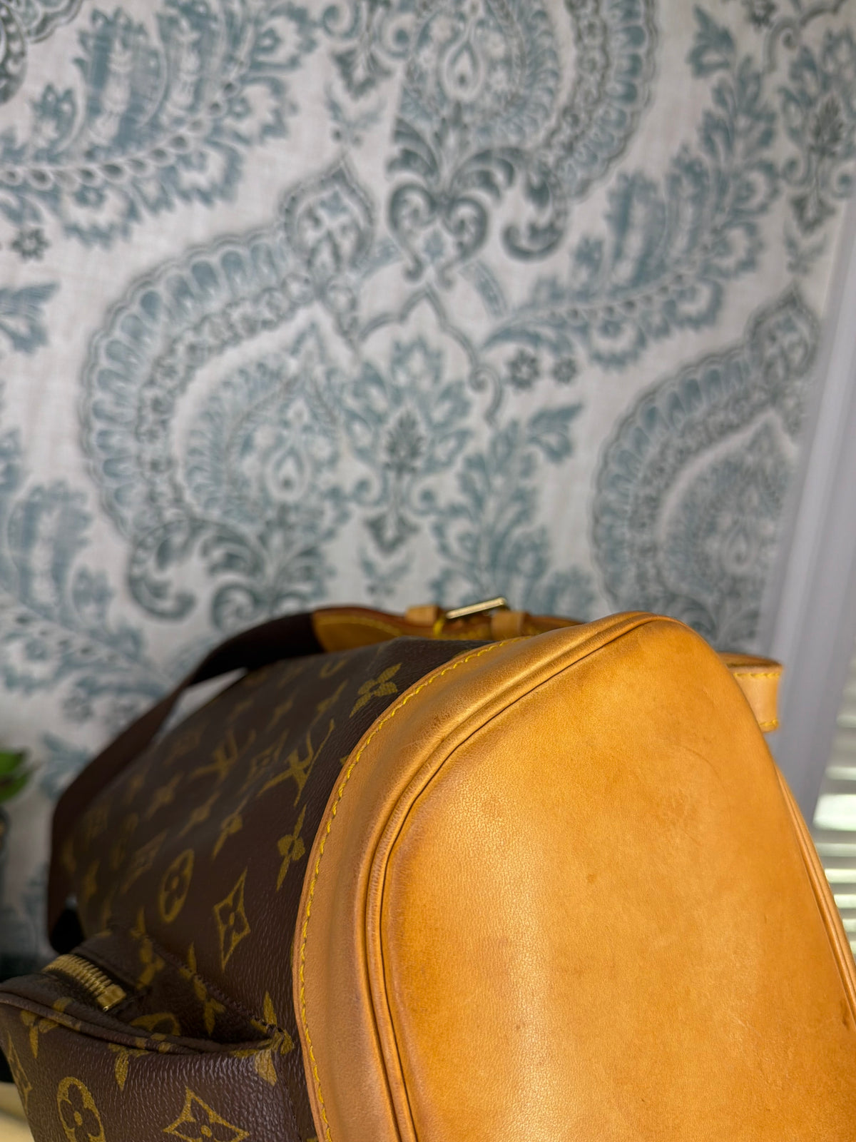 Louis Vuitton Montsouris GM Backpack
