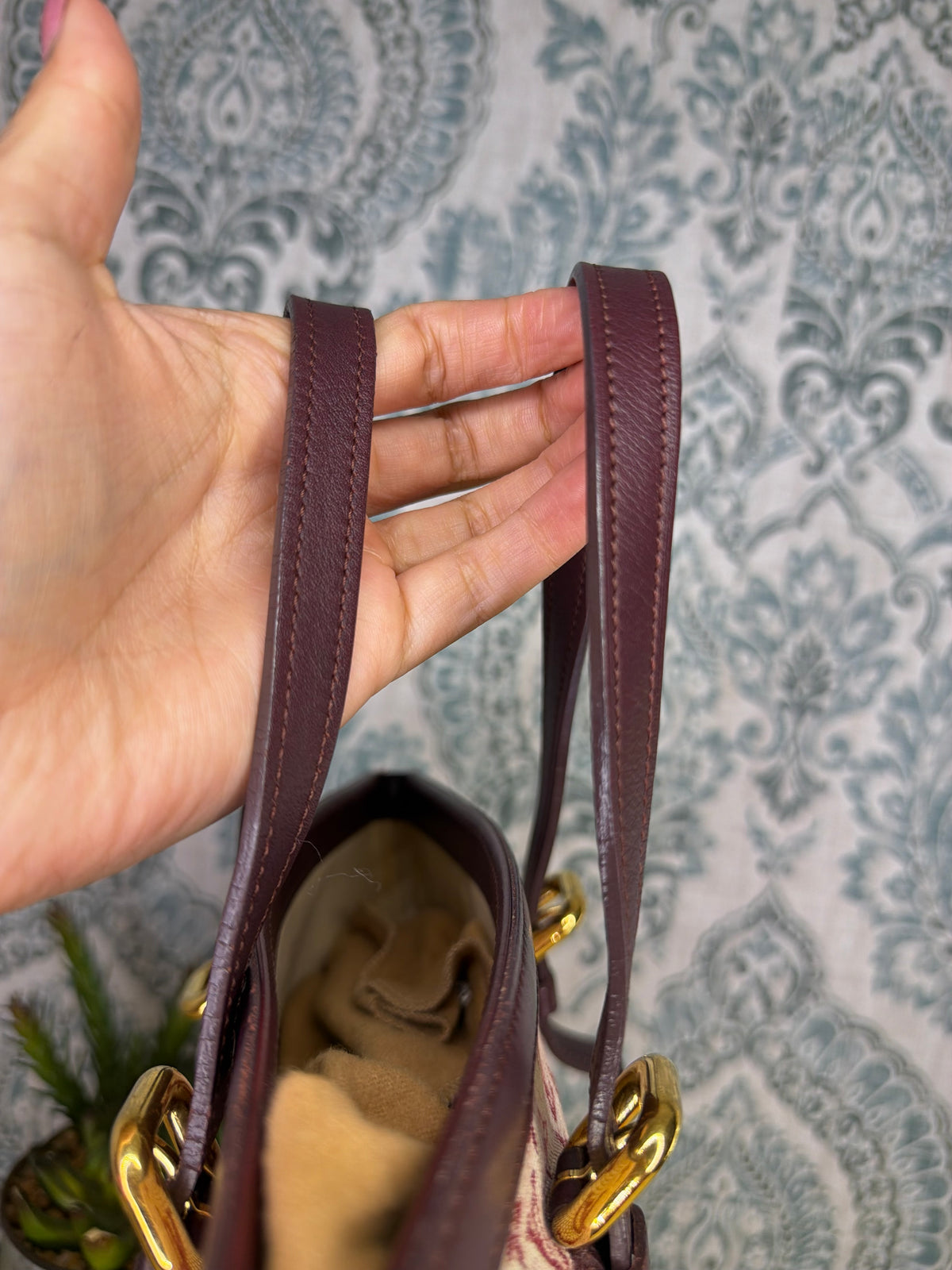 Louis Vuitton Francoise Cherry Mini Lin Shoulder Bag