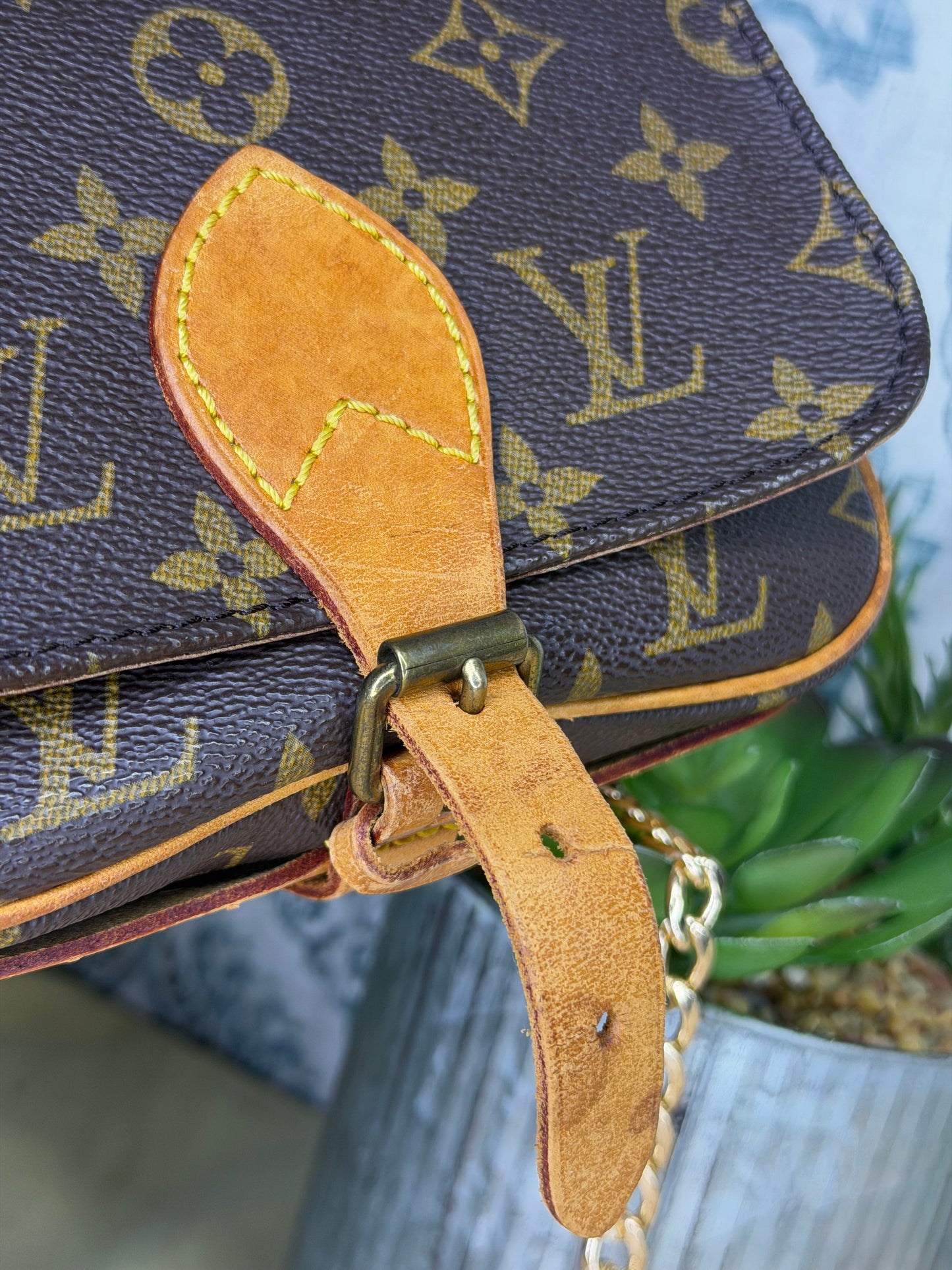 Louis Vuitton Cartouchiere PM