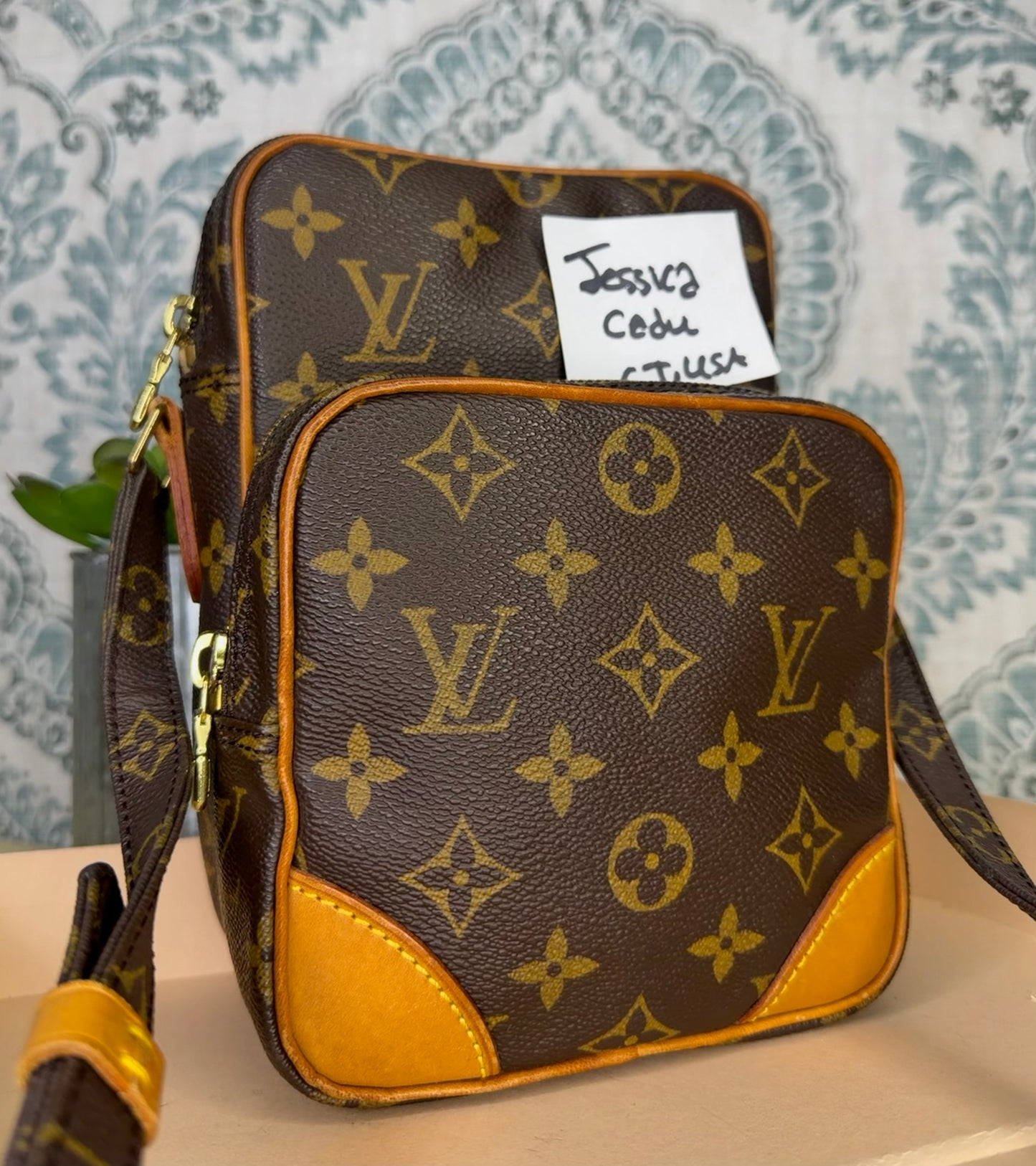 Louis Vuitton Amazon PM #2