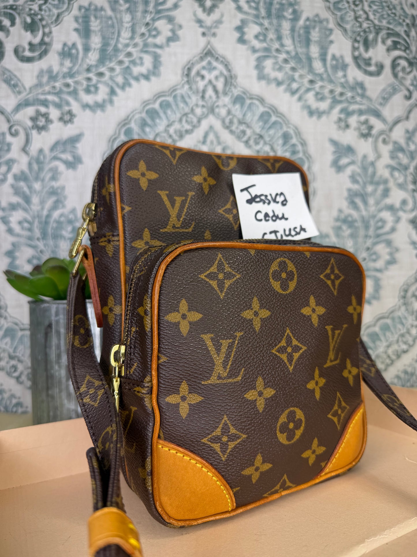 Louis Vuitton Amazon PM #2