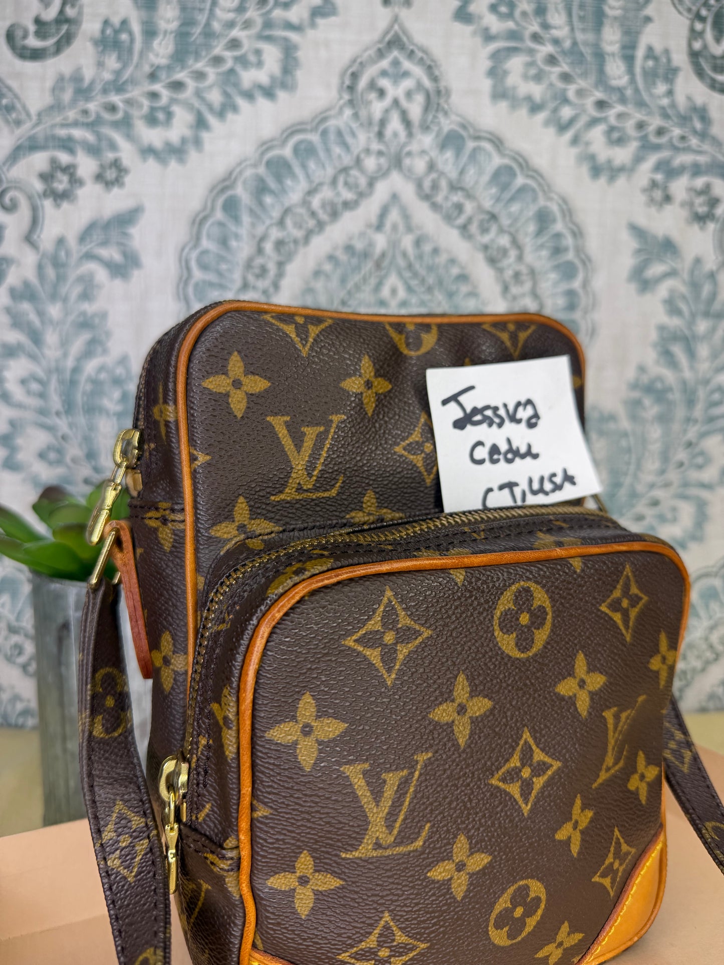 Louis Vuitton Amazon PM #2