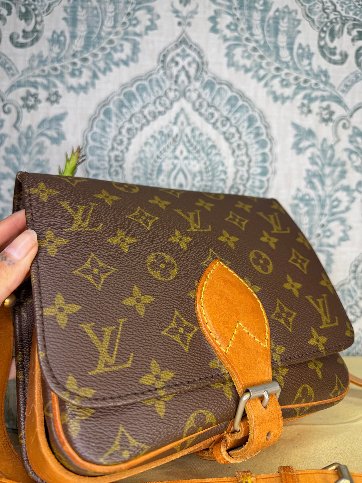 Louis Vuitton Cartouchiere MM #1