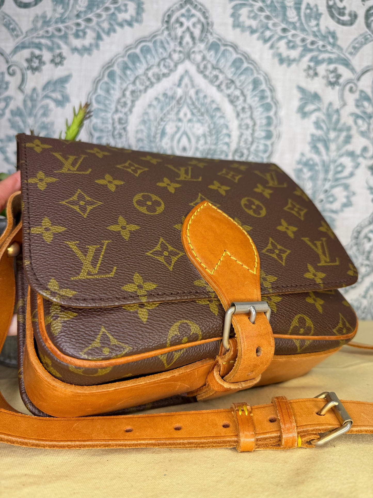 Louis Vuitton Cartouchiere MM #1