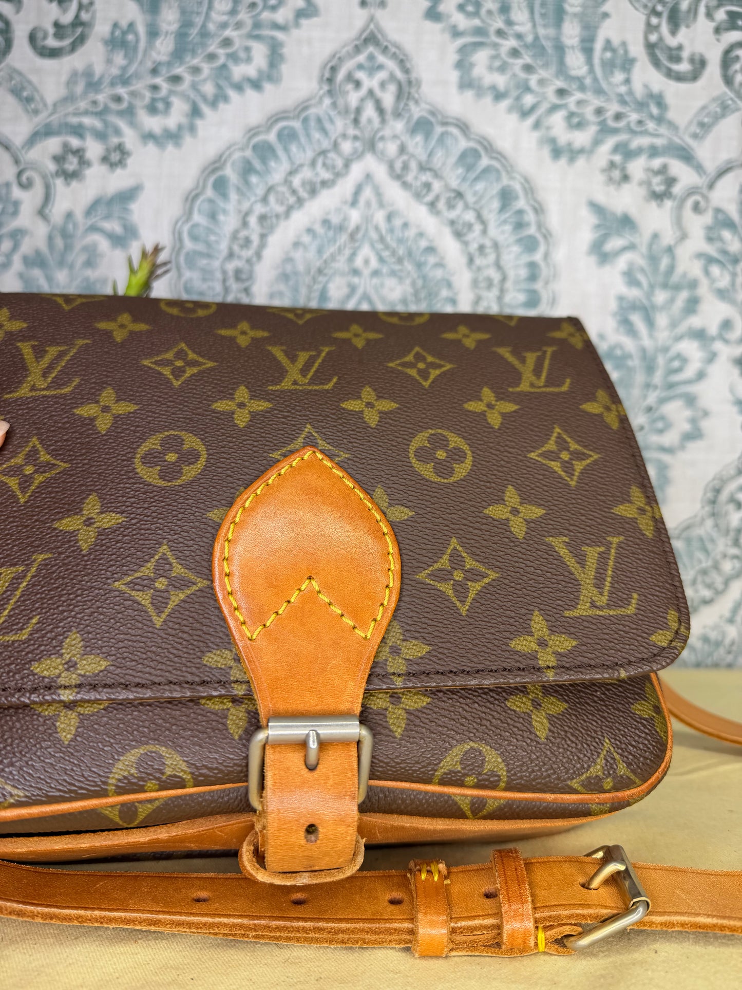 Louis Vuitton Cartouchiere MM #1