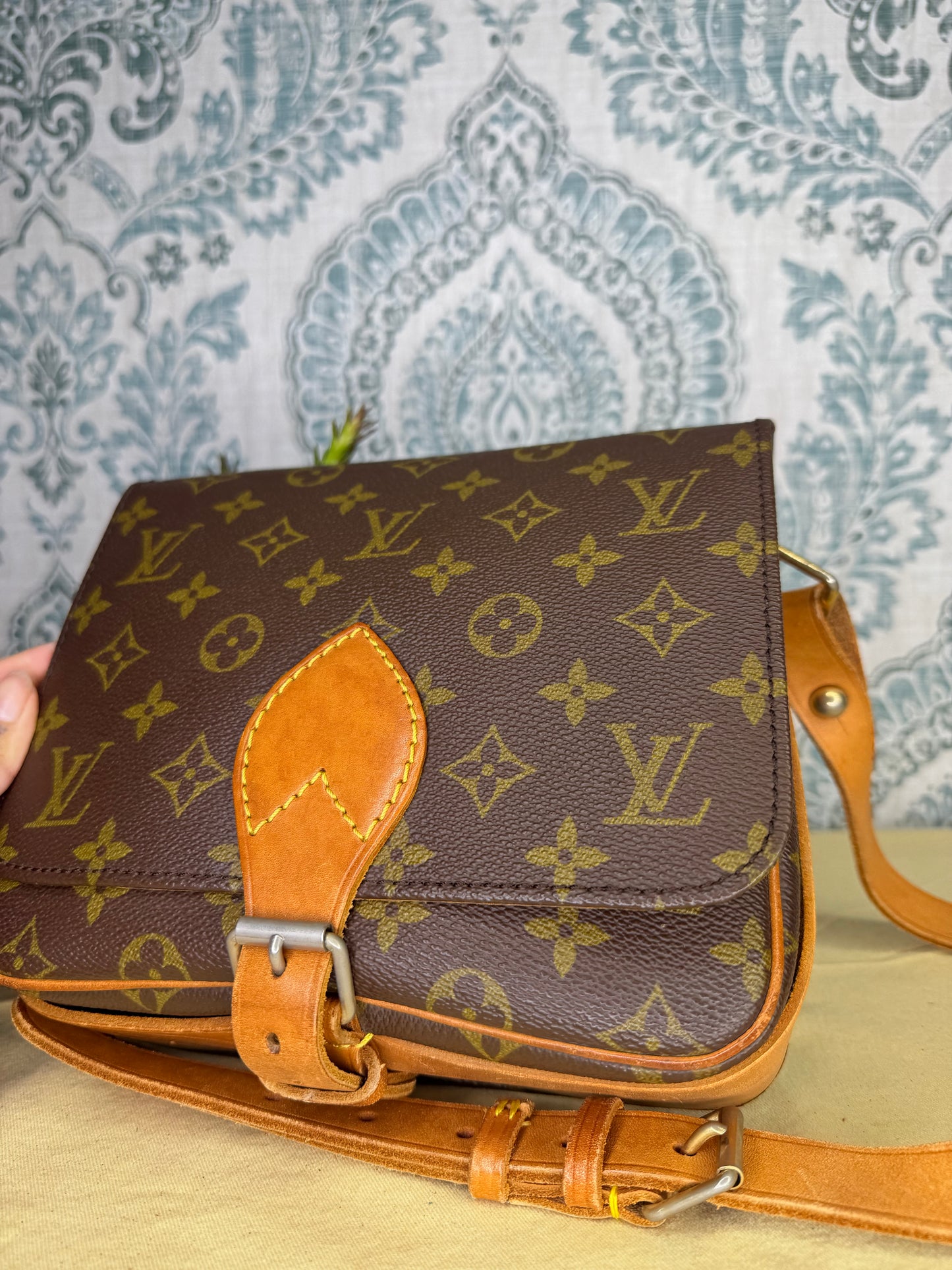 Louis Vuitton Cartouchiere MM #1