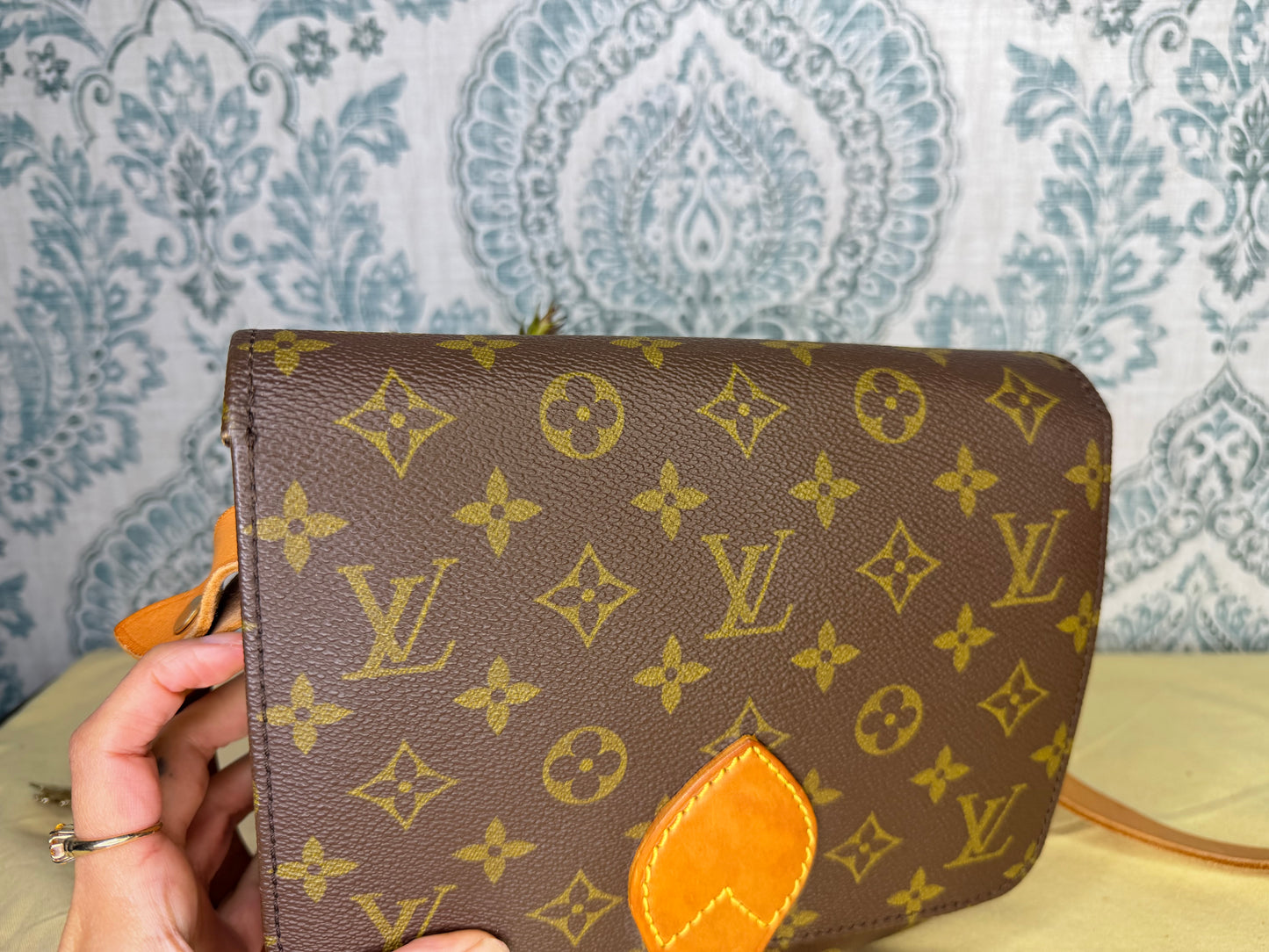 Louis Vuitton Cartouchiere MM #1