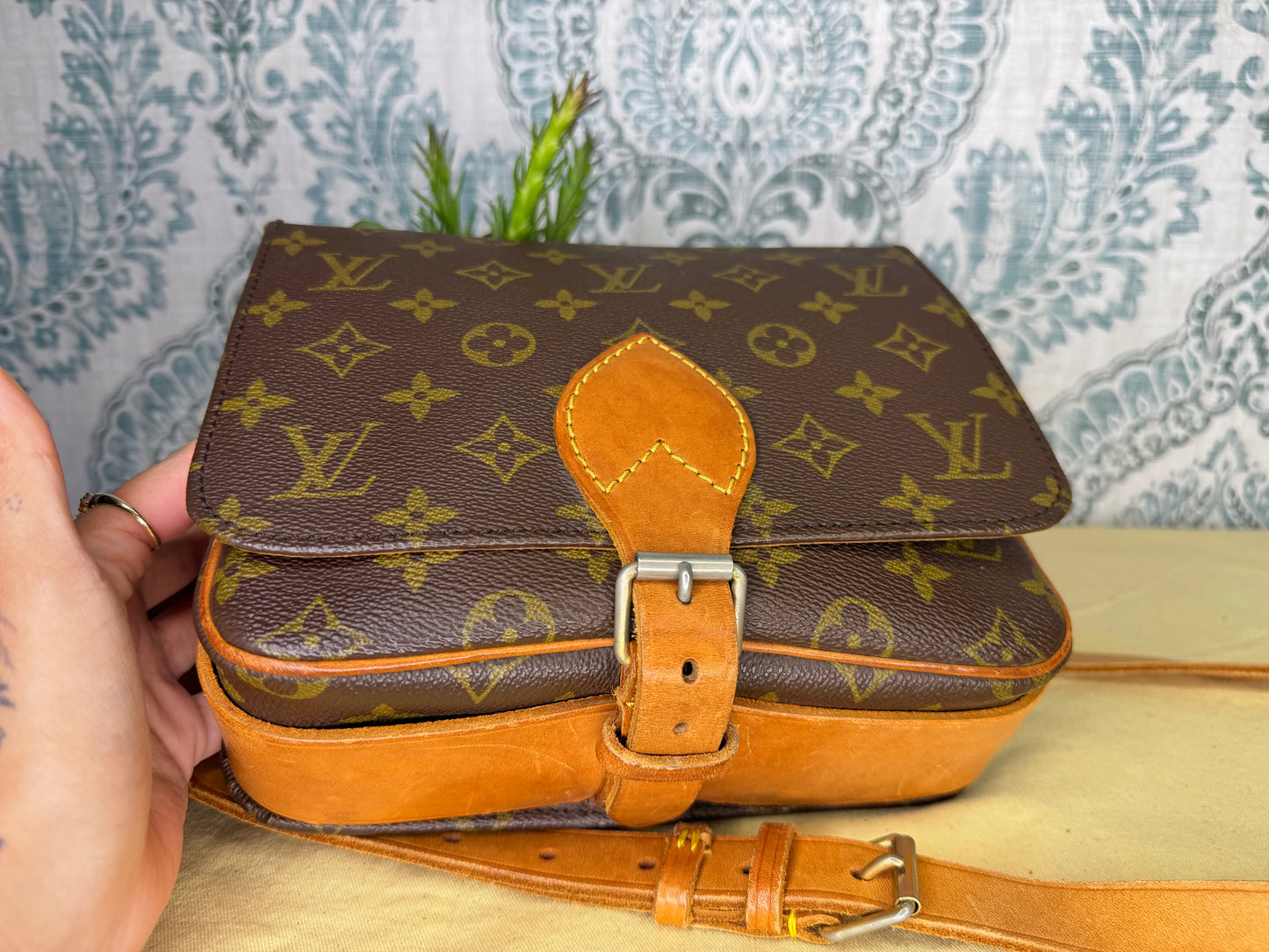 Louis Vuitton Cartouchiere MM #1
