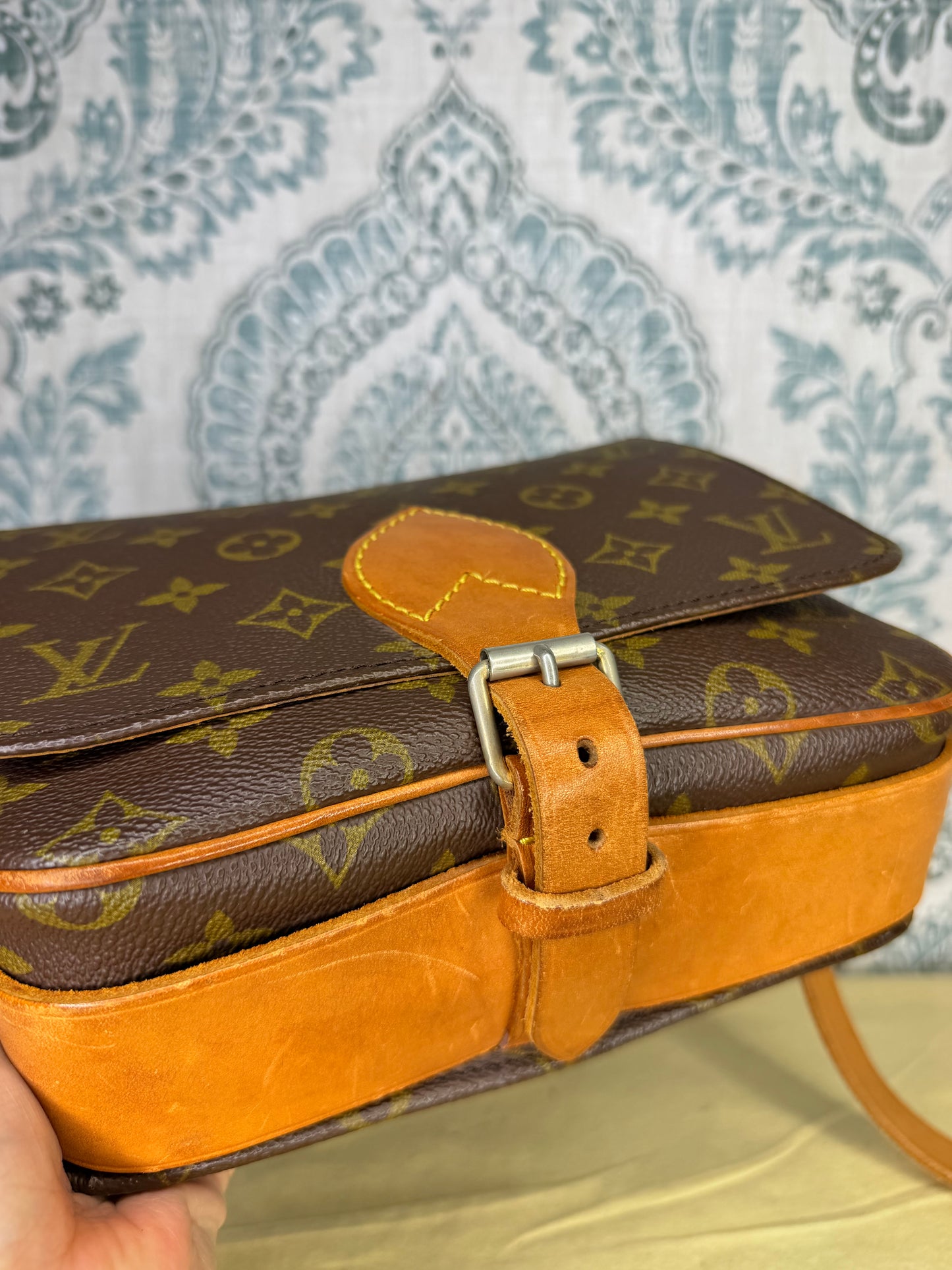 Louis Vuitton Cartouchiere MM #1