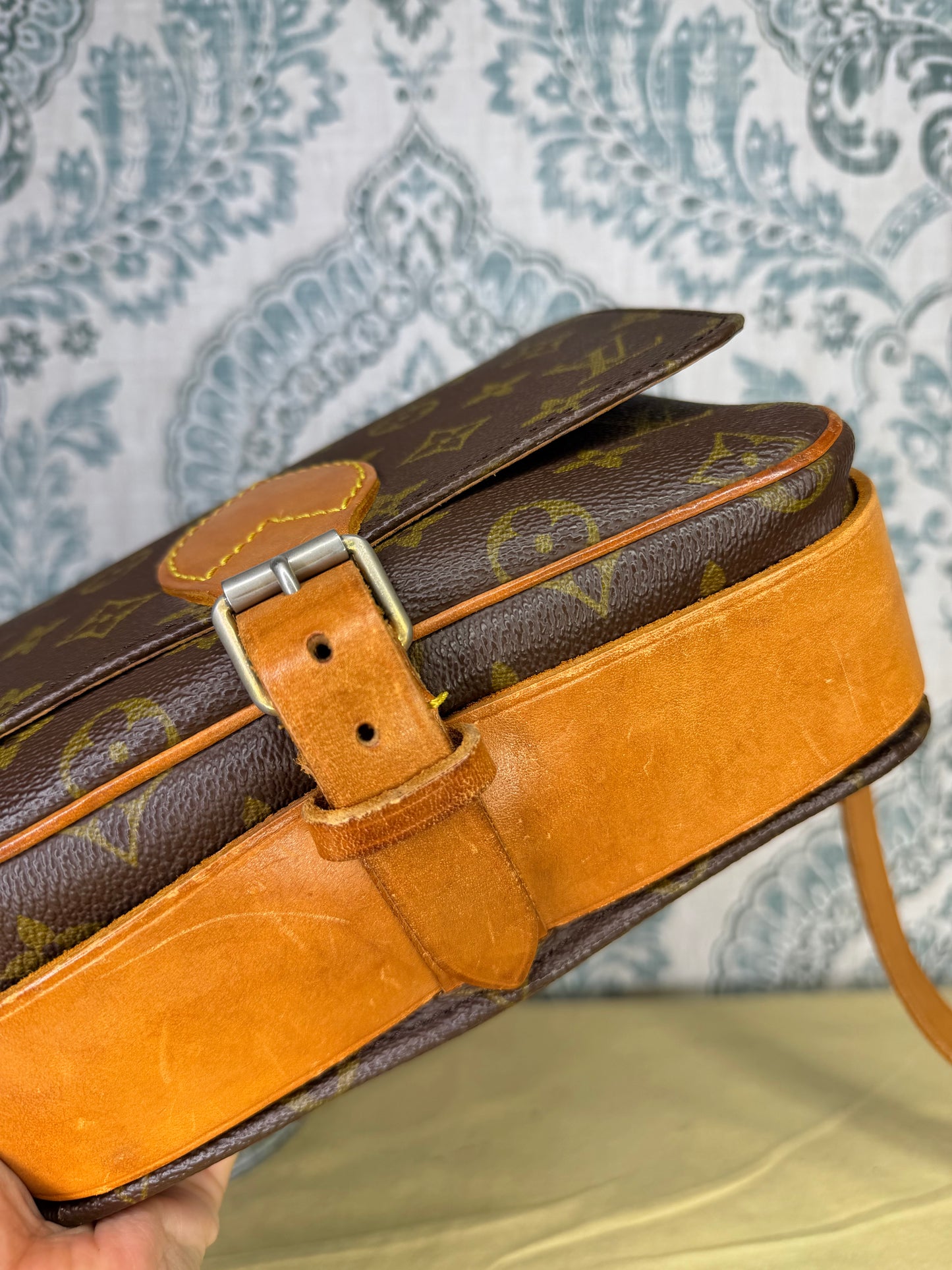 Louis Vuitton Cartouchiere MM #1