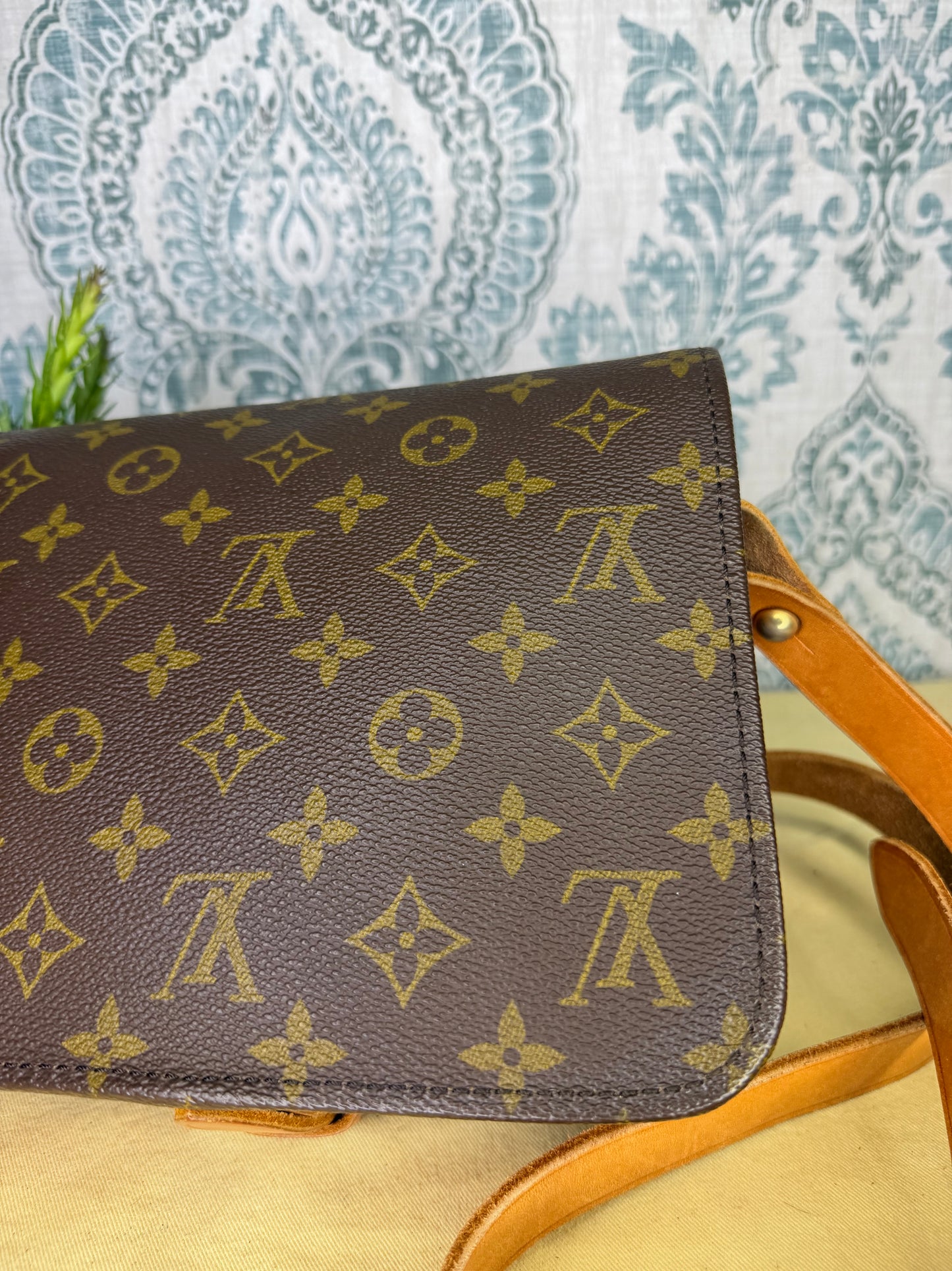 Louis Vuitton Cartouchiere MM #1