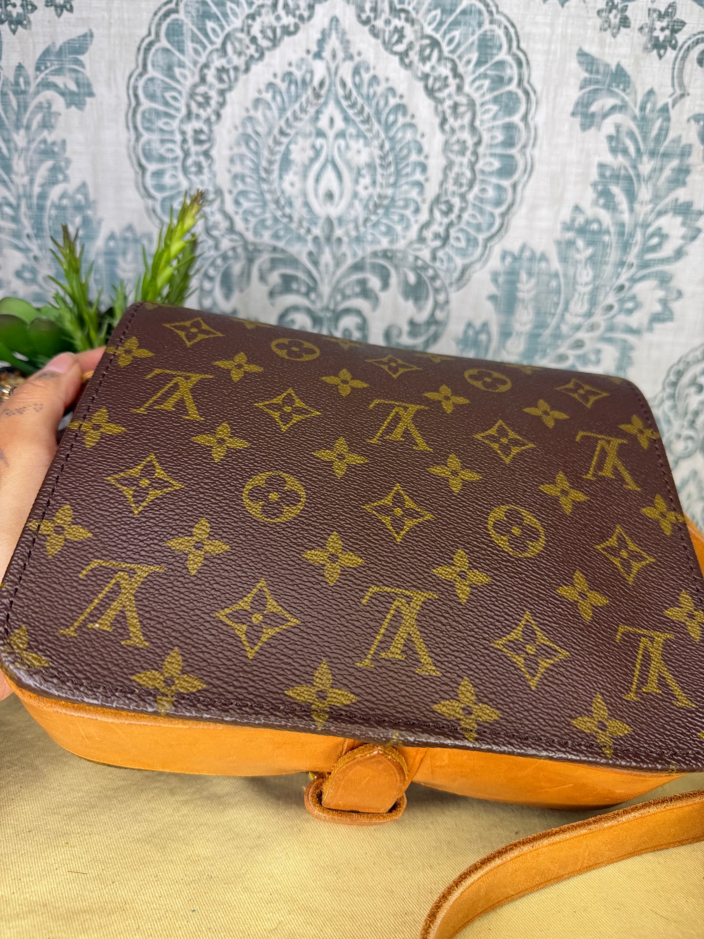 Louis Vuitton Cartouchiere MM #1