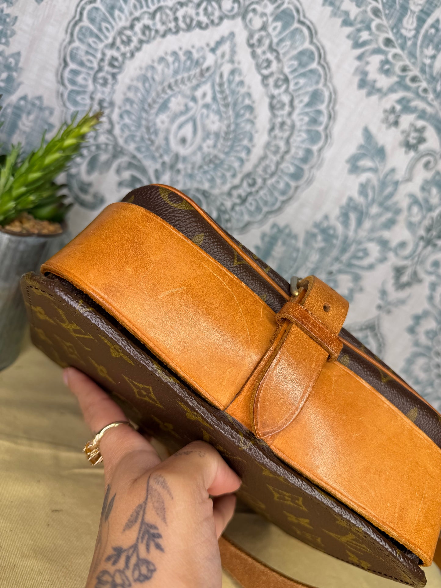 Louis Vuitton Cartouchiere MM #1