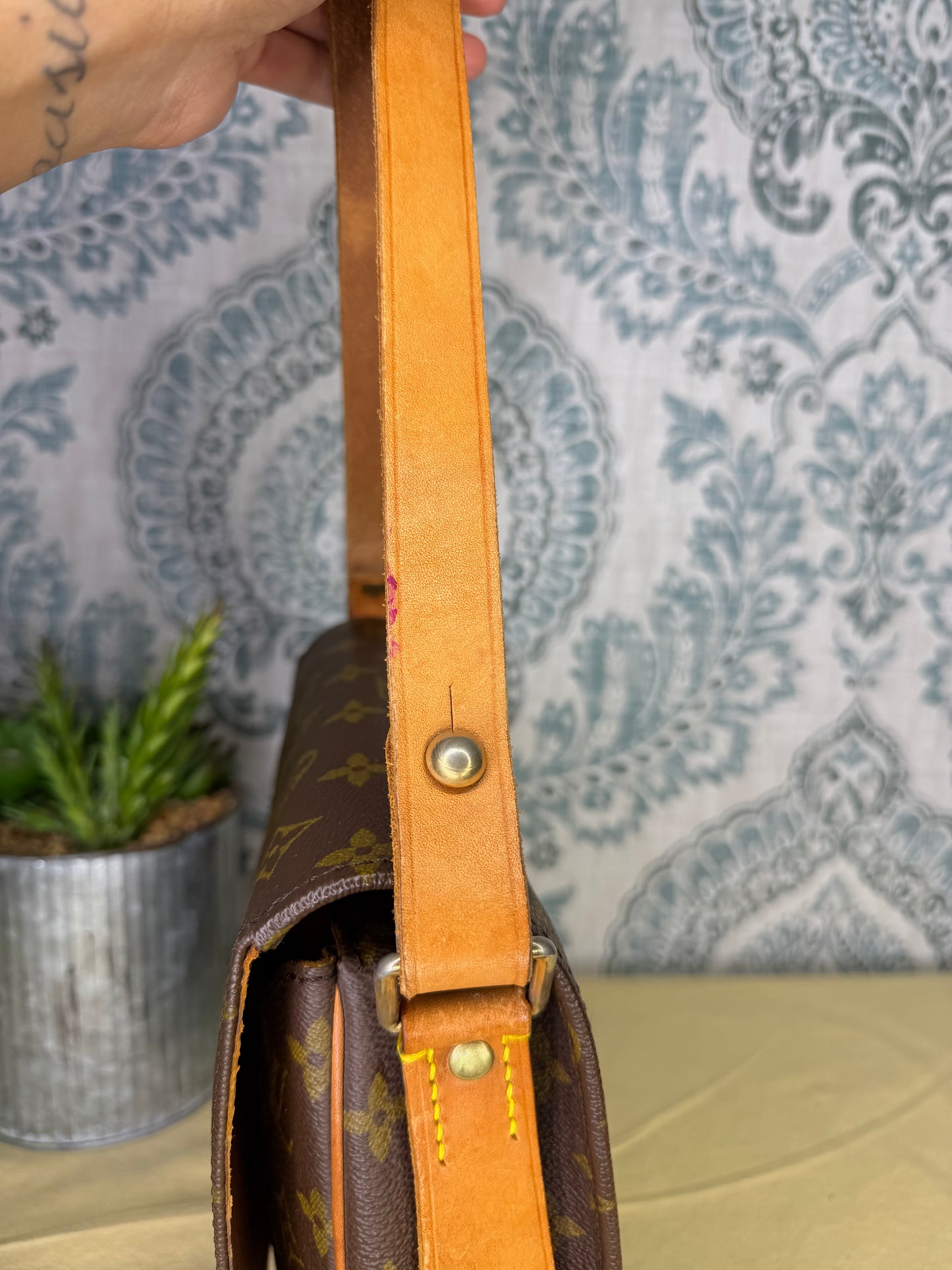 Louis Vuitton Cartouchiere MM #1
