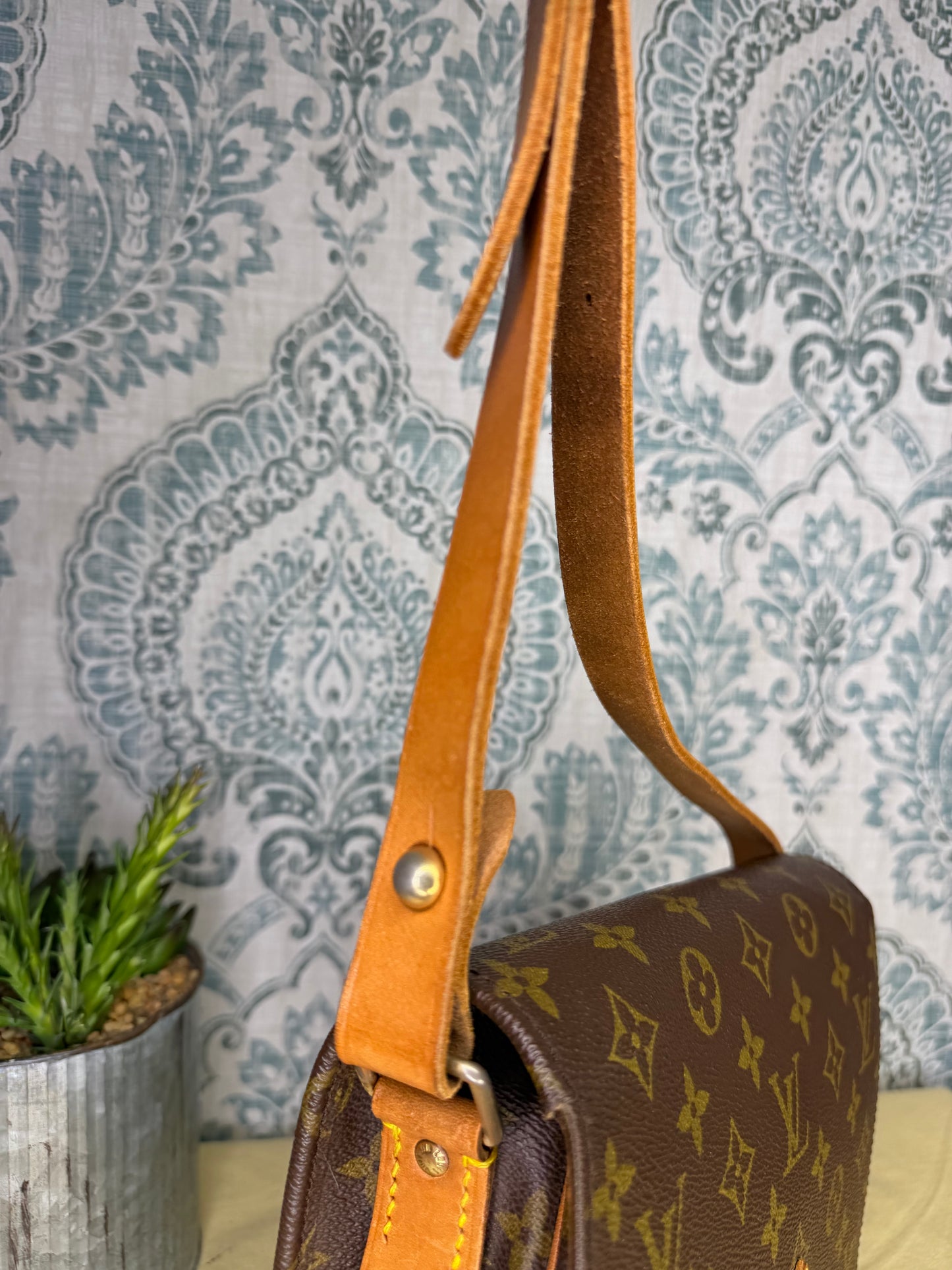 Louis Vuitton Cartouchiere MM #1