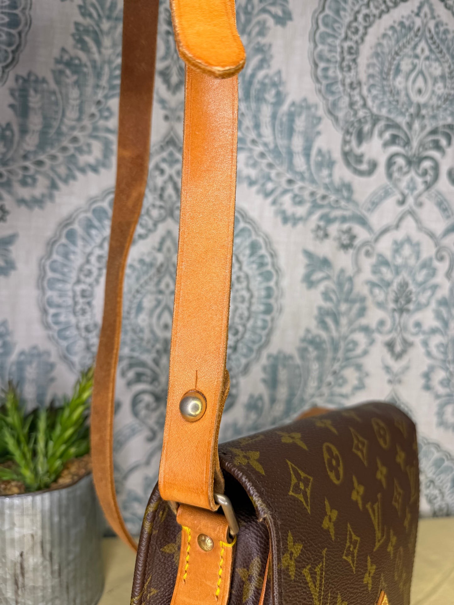 Louis Vuitton Cartouchiere MM #1